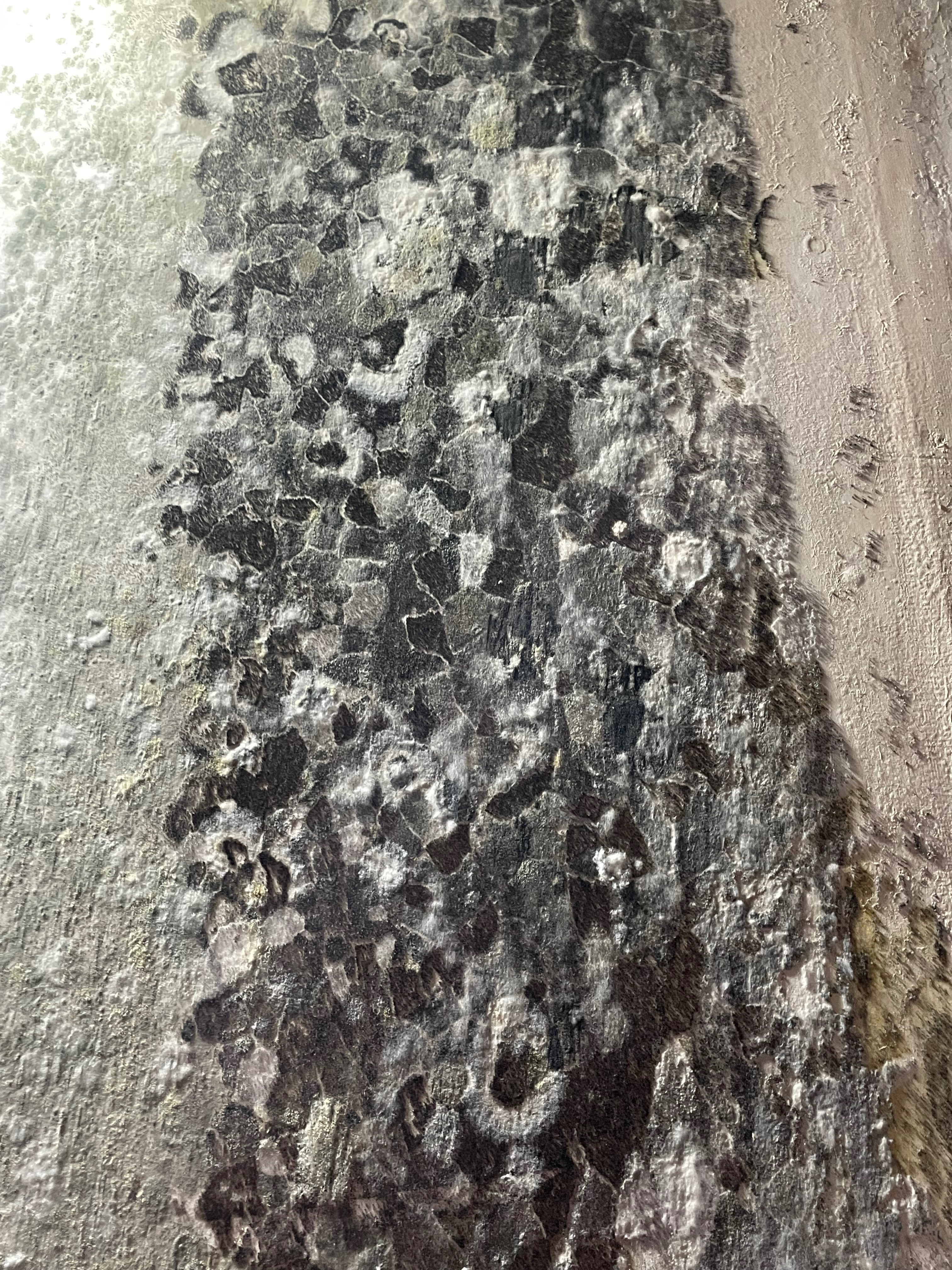 Urgent: Help Alden Recover From Fire, Mold Exposure & Rebuil campaign photo, 2 of 7