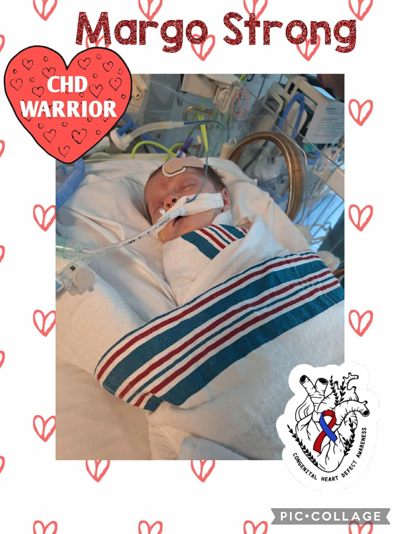 Support Margo Danielle's Heart Surgery Recovery campaign photo, 2 of 5