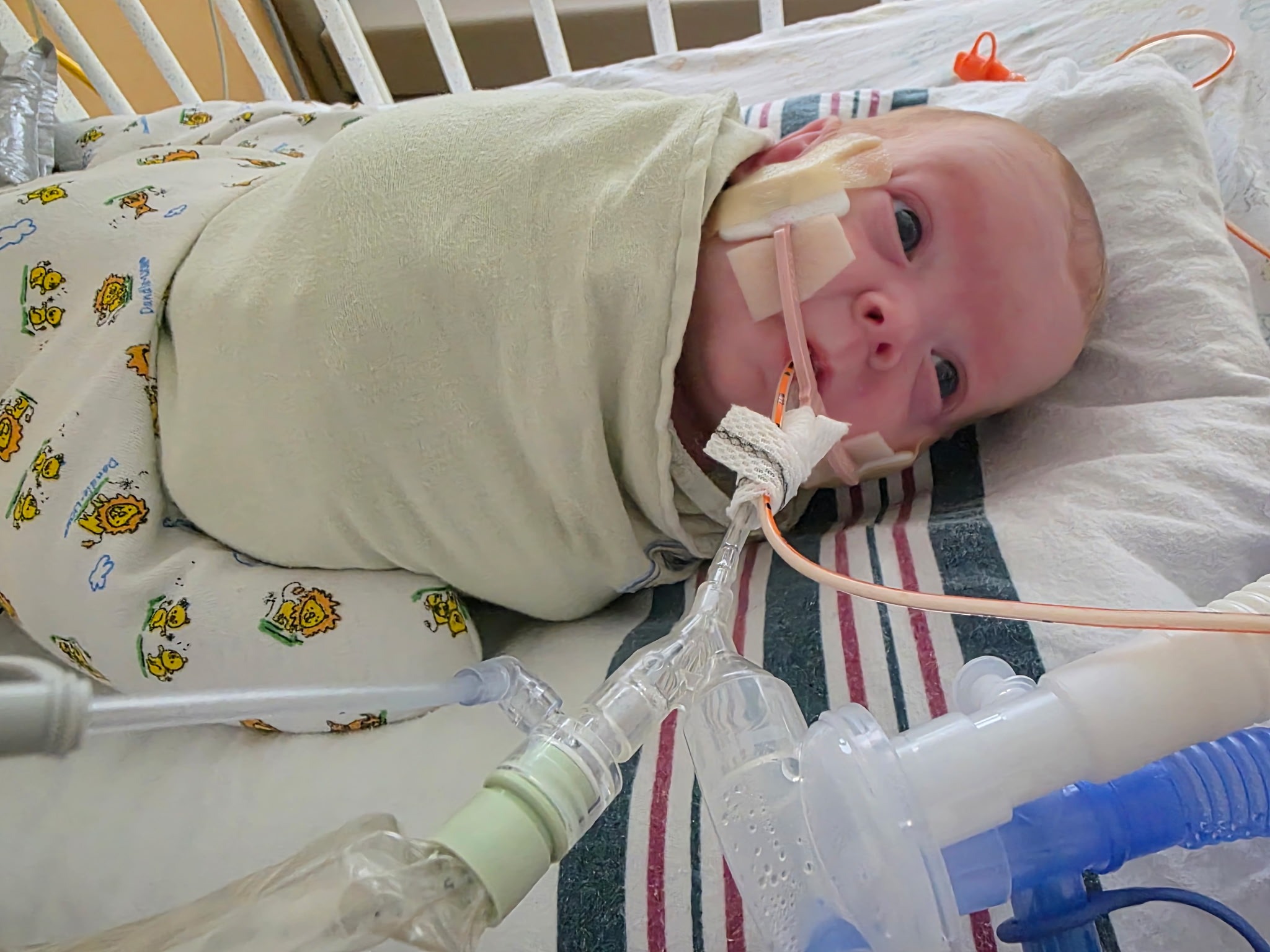 Support Haley and Ben's Miracle Twins campaign photo, 6 of 8
