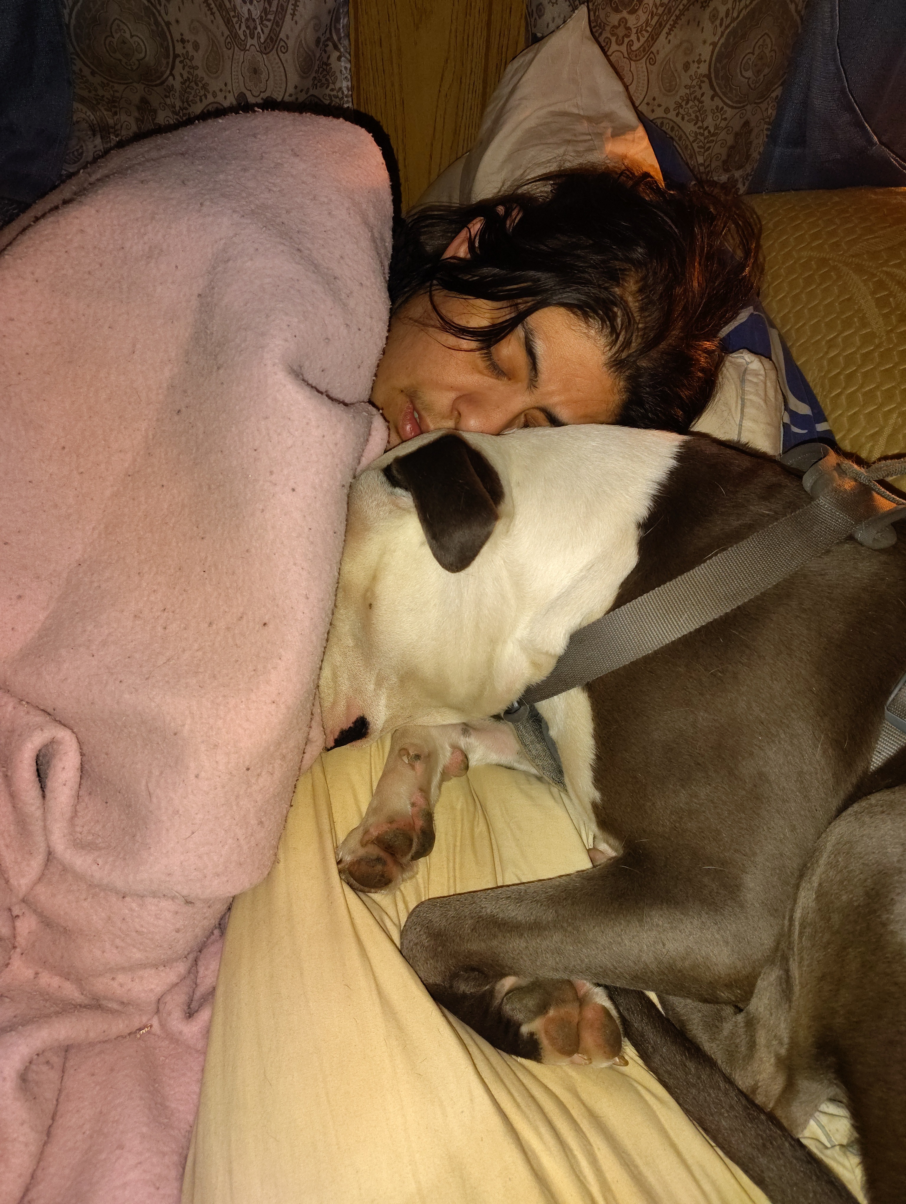 User-uploaded image 1