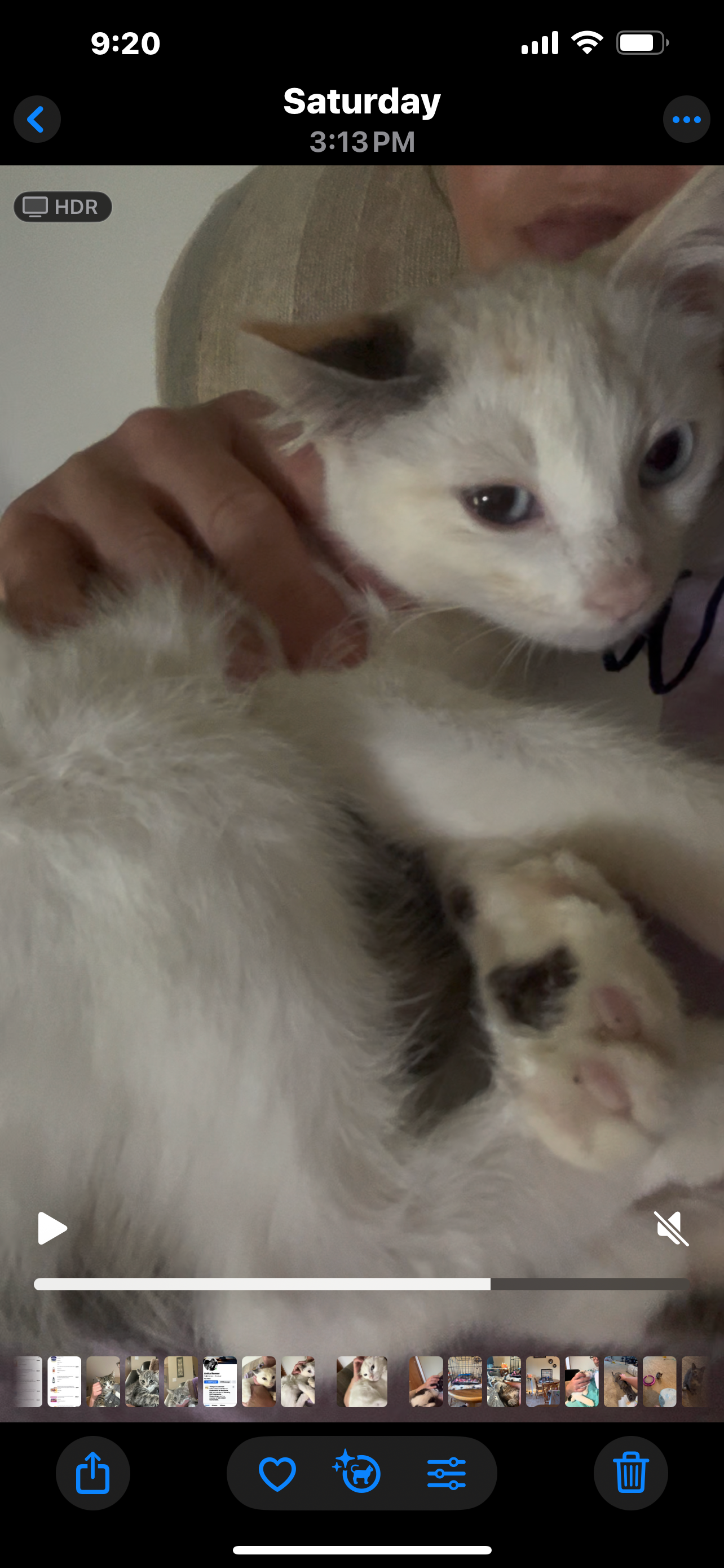 Help Marshmallow Overcome Pneumonia campaign photo, 2 of 4