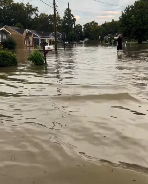 Bounce Back After Flood Loss For Us and Pets campaign photo, 2 of 4
