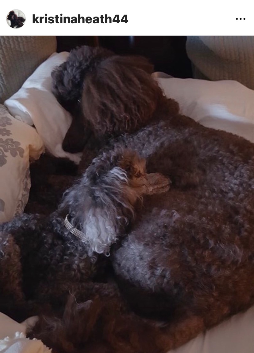 Help provide Annabelle care - she has bladder cancer campaign photo, 2 of 6