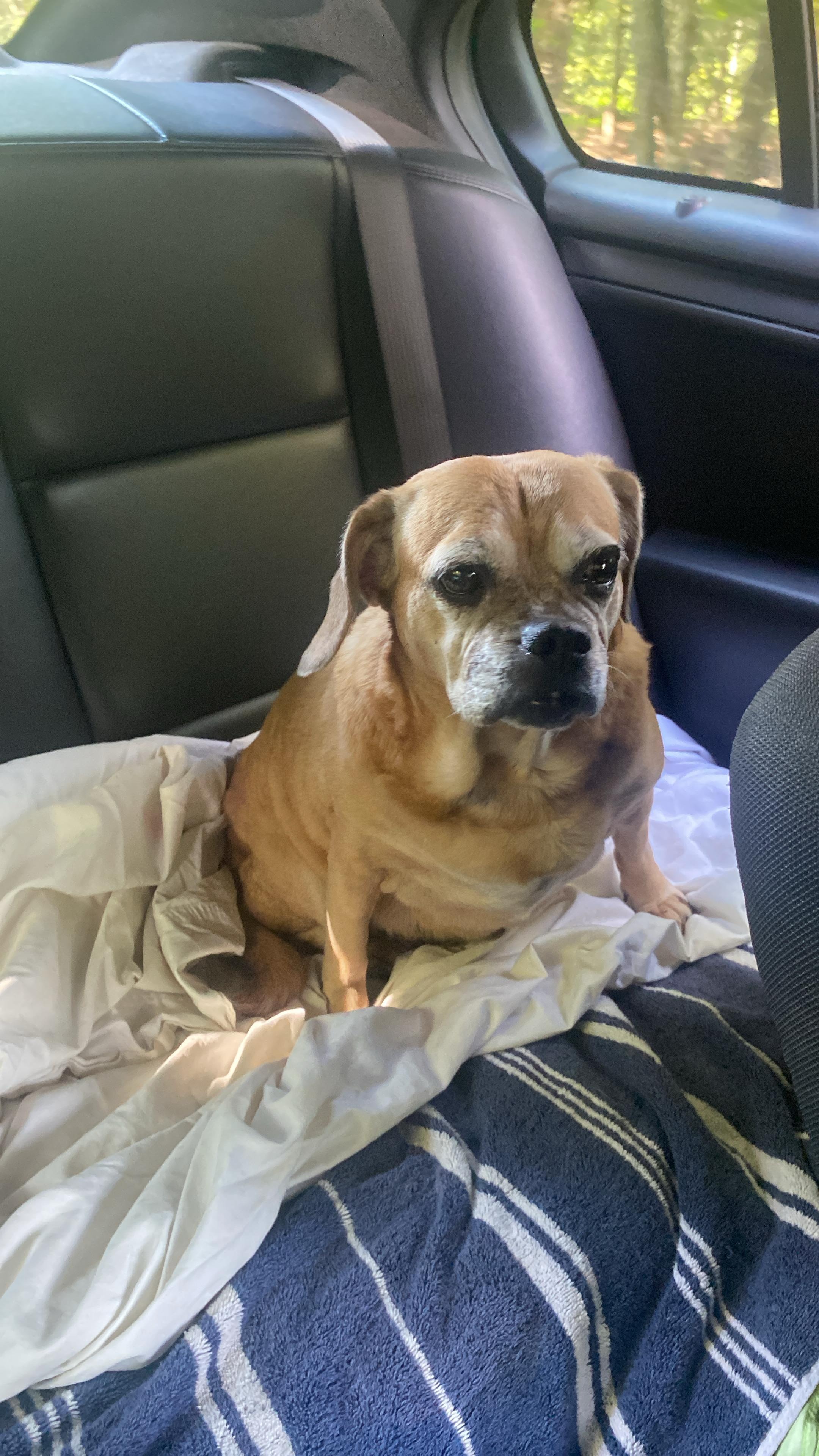 User-uploaded image 1