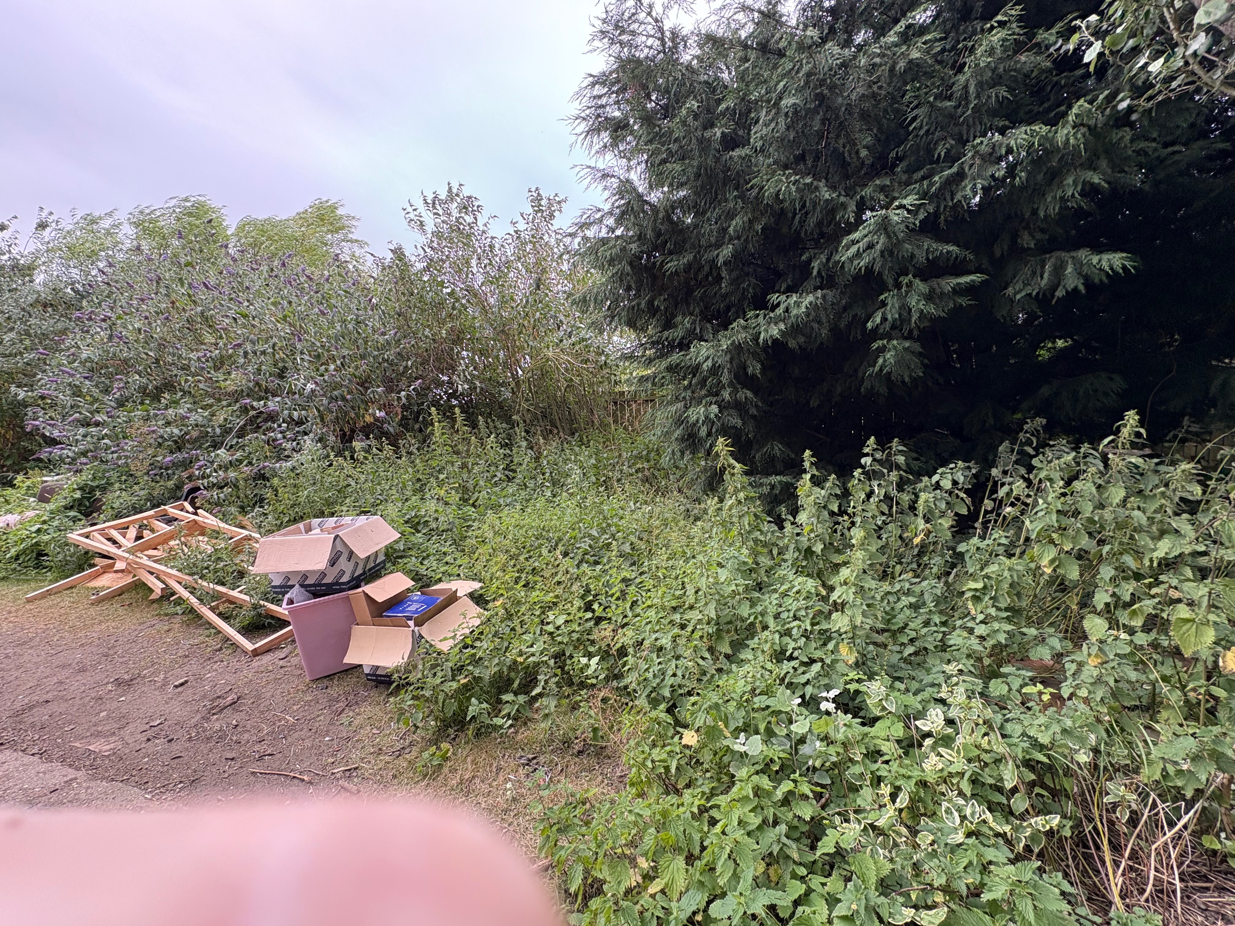 Wildlife habitat maintenance campaign photo, 2 of 8