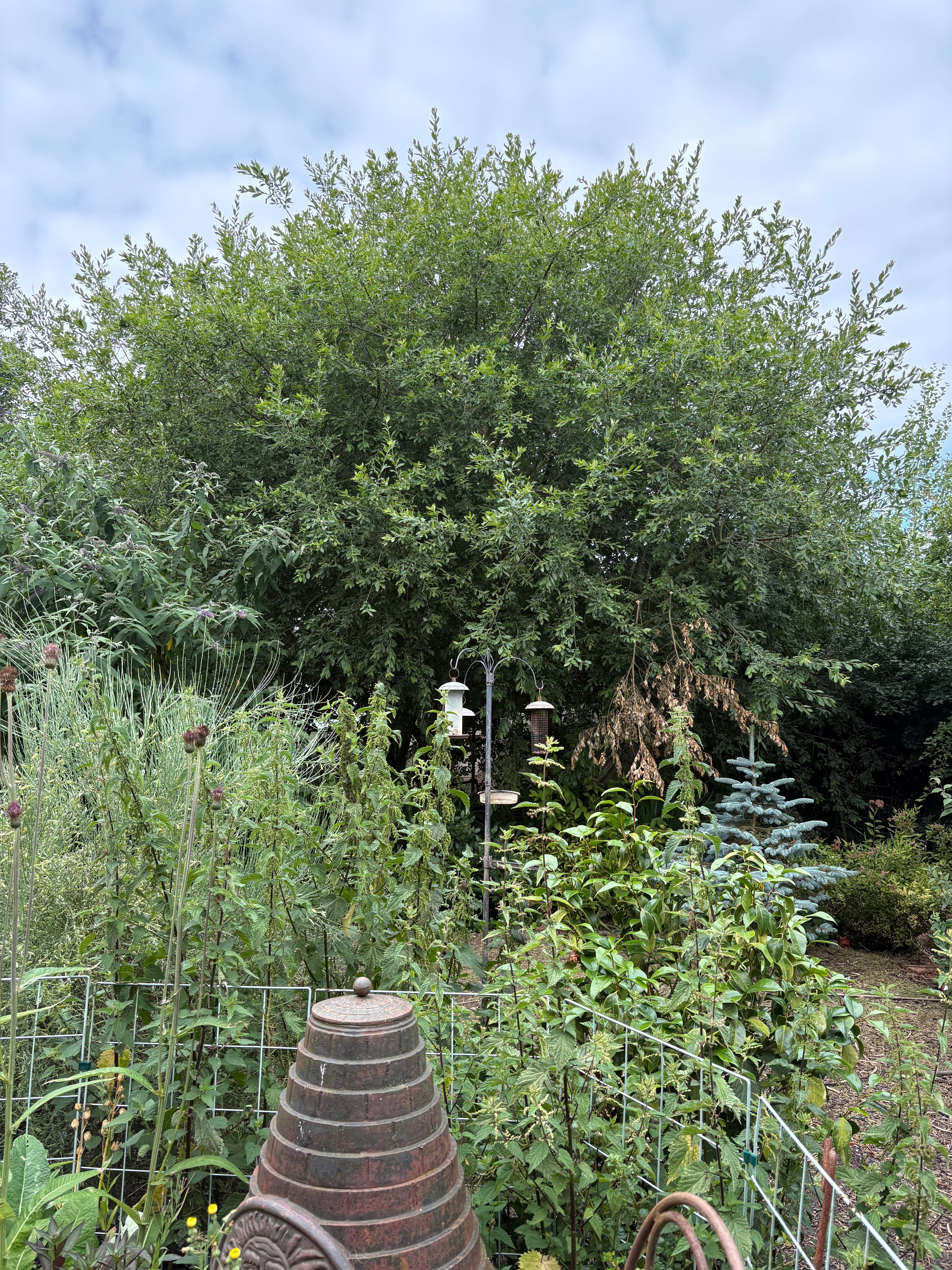 Wildlife habitat maintenance campaign photo, 4 of 8
