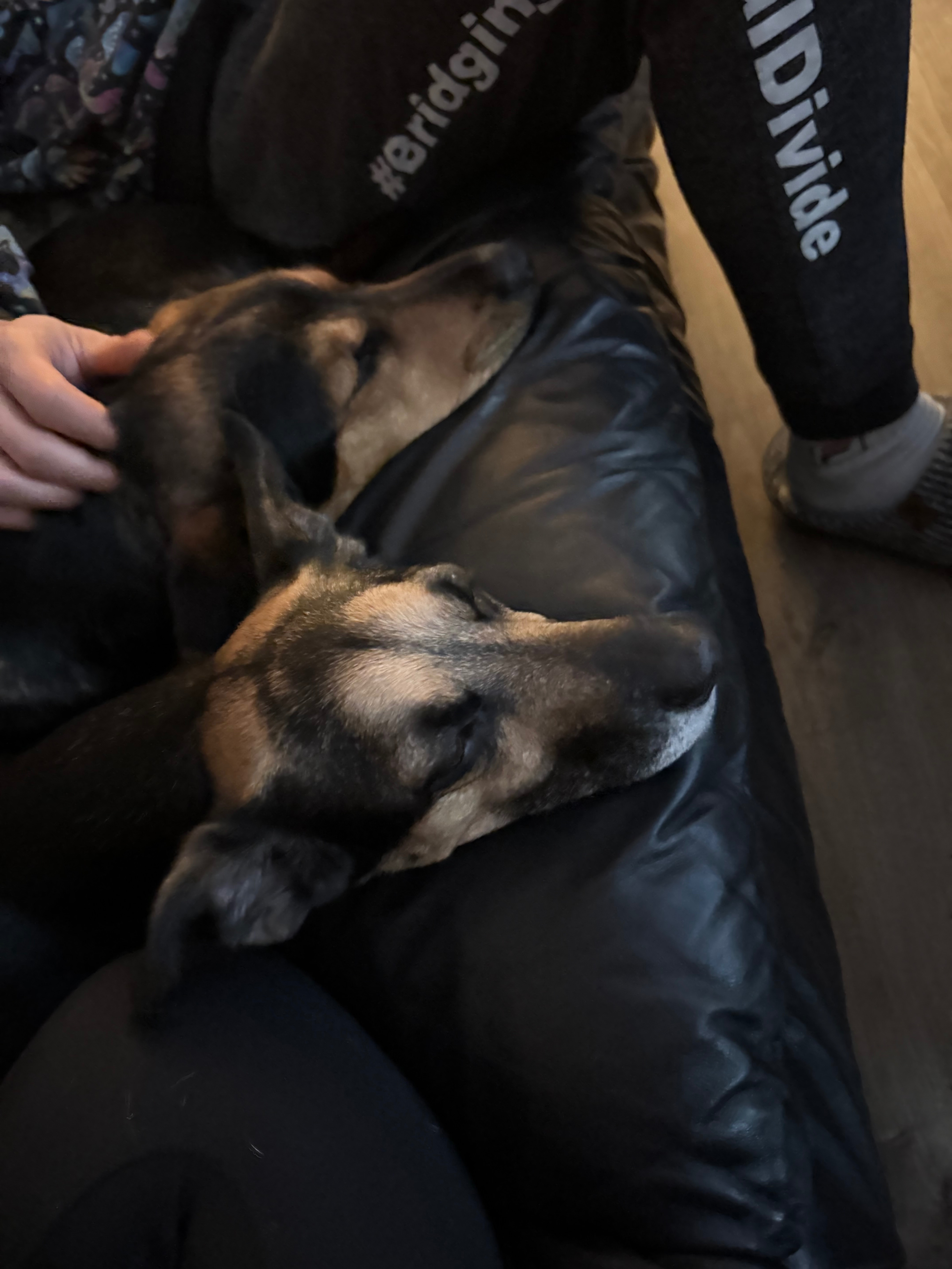 Diesel’s surgery campaign photo, 4 of 6