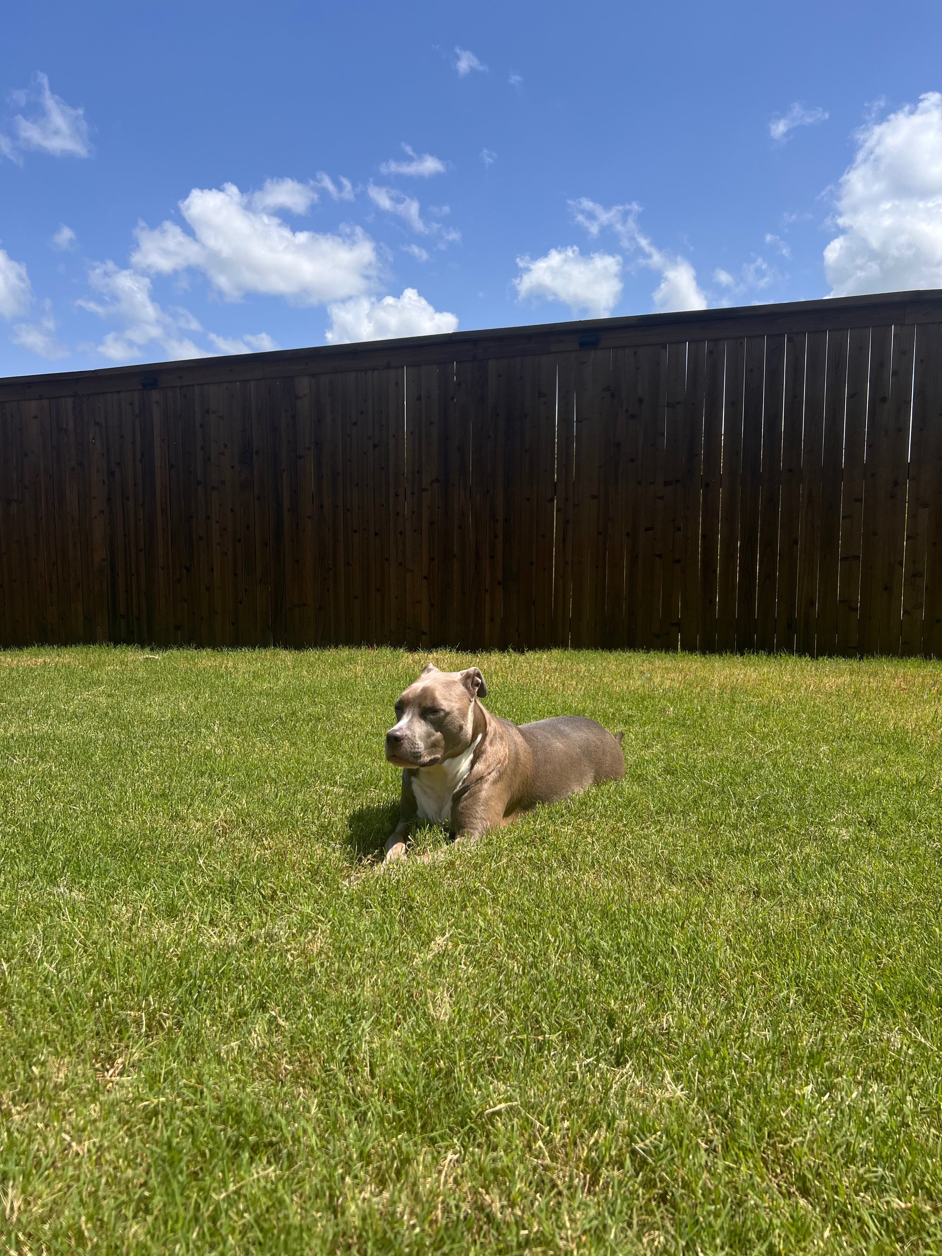 Help Leia Recover from Facial Paralysis campaign photo, 7 of 8