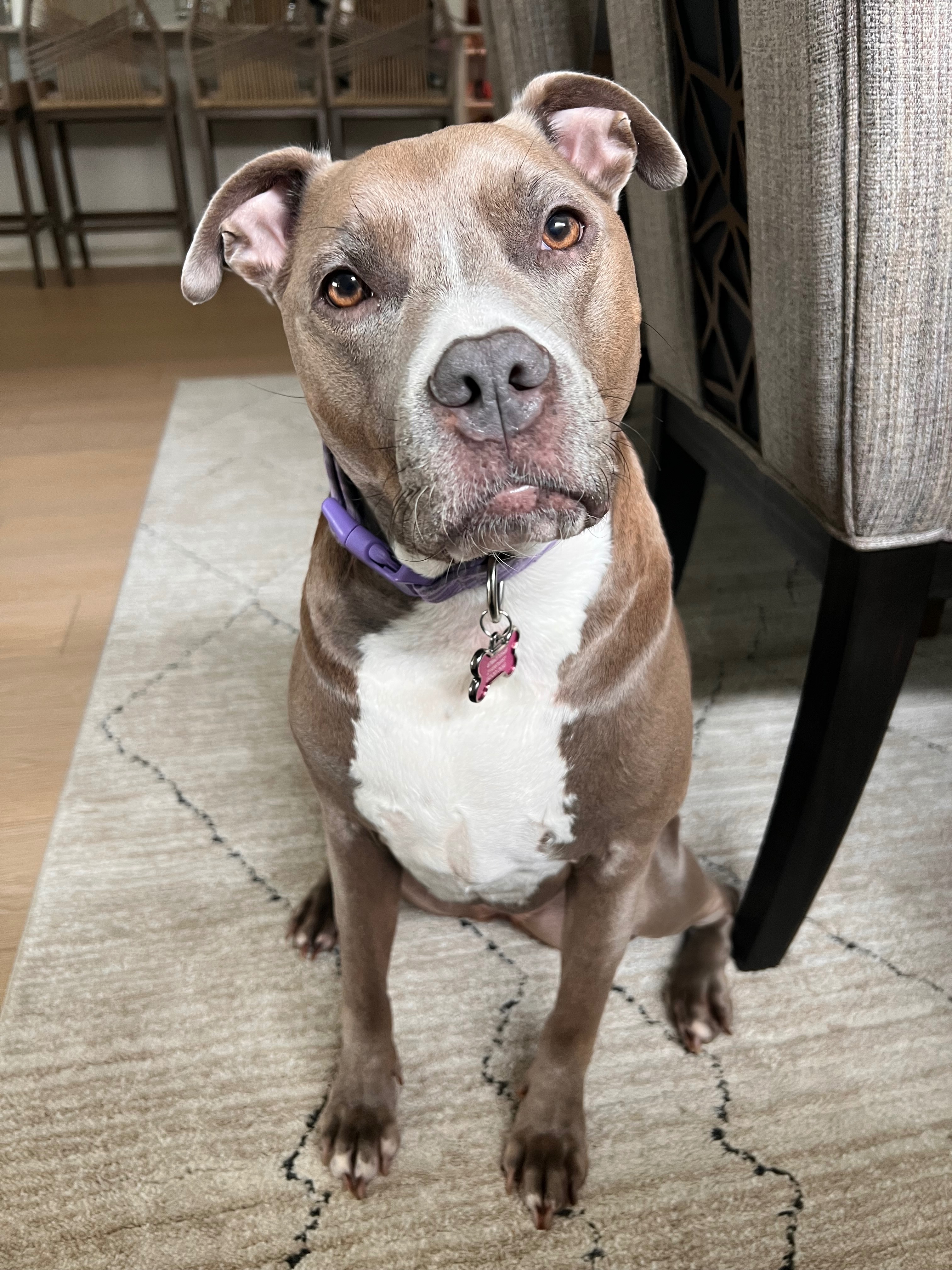 Help Leia Recover from Facial Paralysis campaign photo, 4 of 8