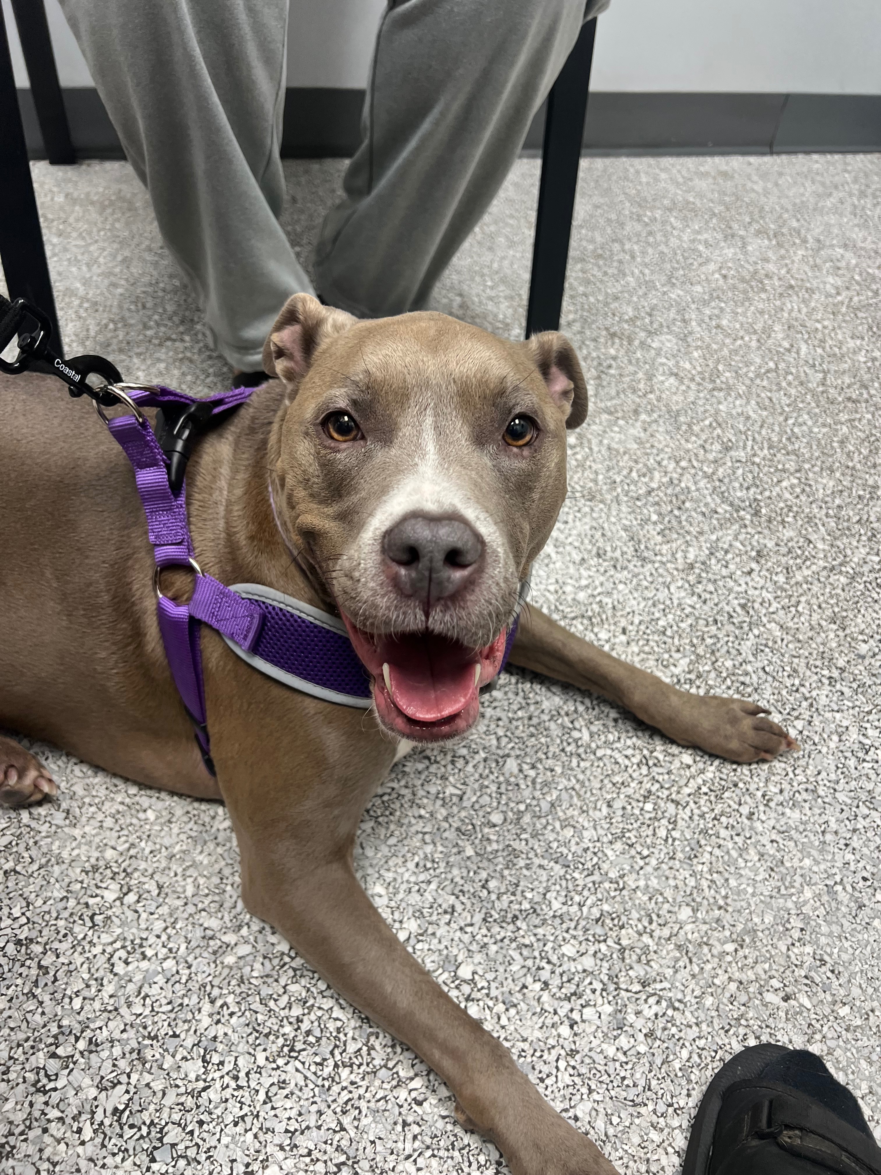 Help Leia Recover from Facial Paralysis campaign photo, 6 of 8