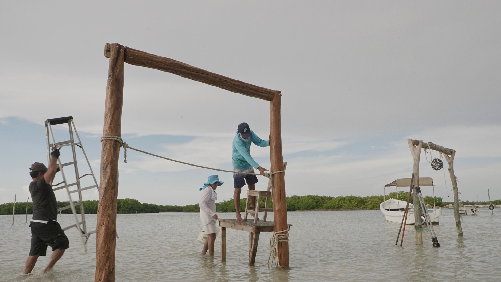 Mangroven, Mut und Wandel – Ein Dokumentarfilm aus Yucatán campaign photo, 7 of 8