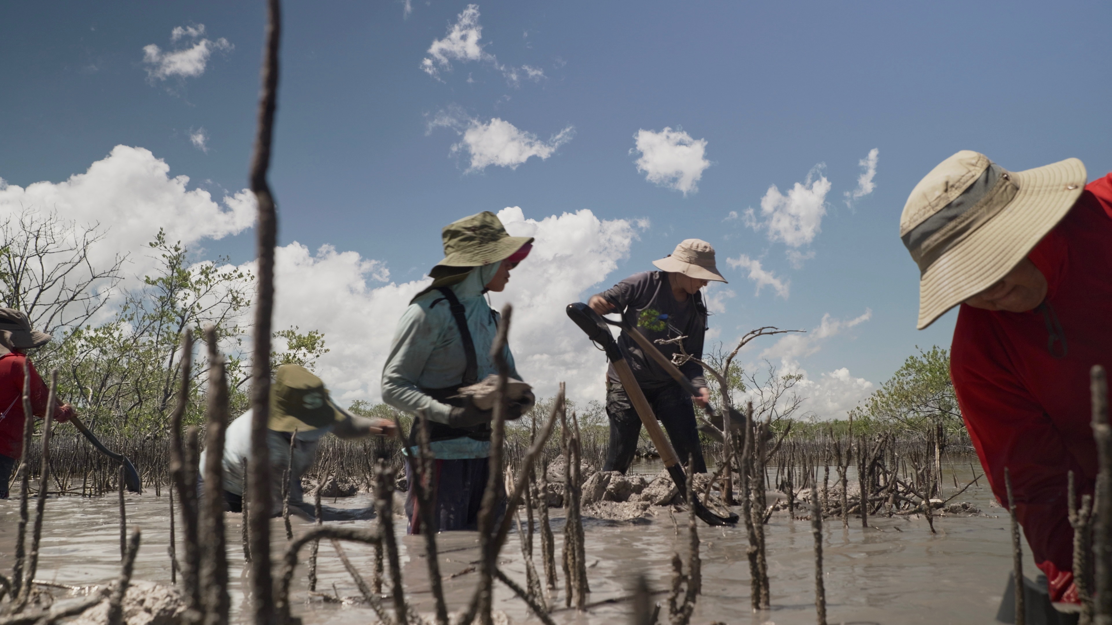 Mangroven, Mut und Wandel – Ein Dokumentarfilm aus Yucatán campaign photo, 2 of 8