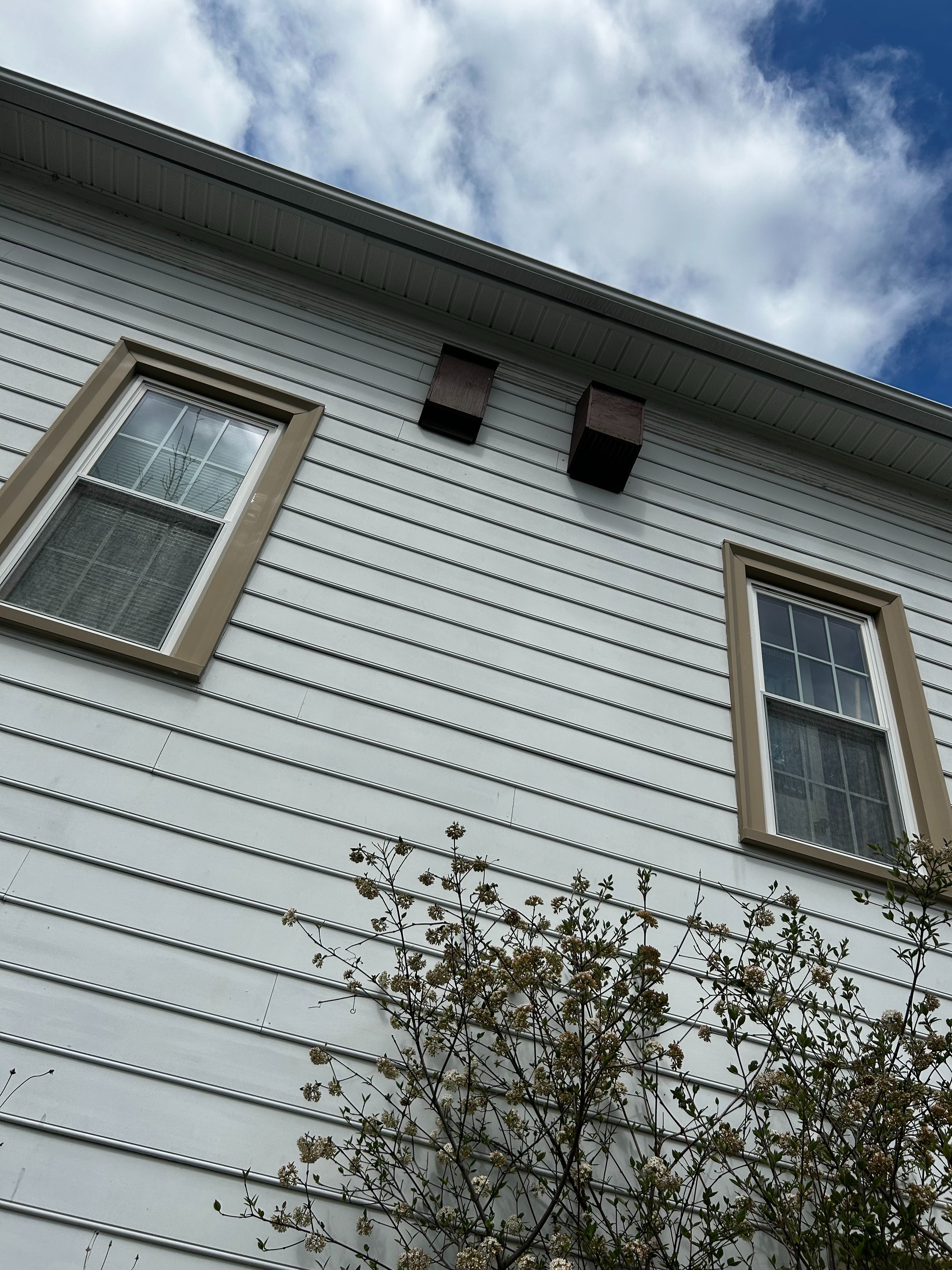 Kyle Pugh's Eagle Scout Project on building bat boxes campaign photo, 2 of 8