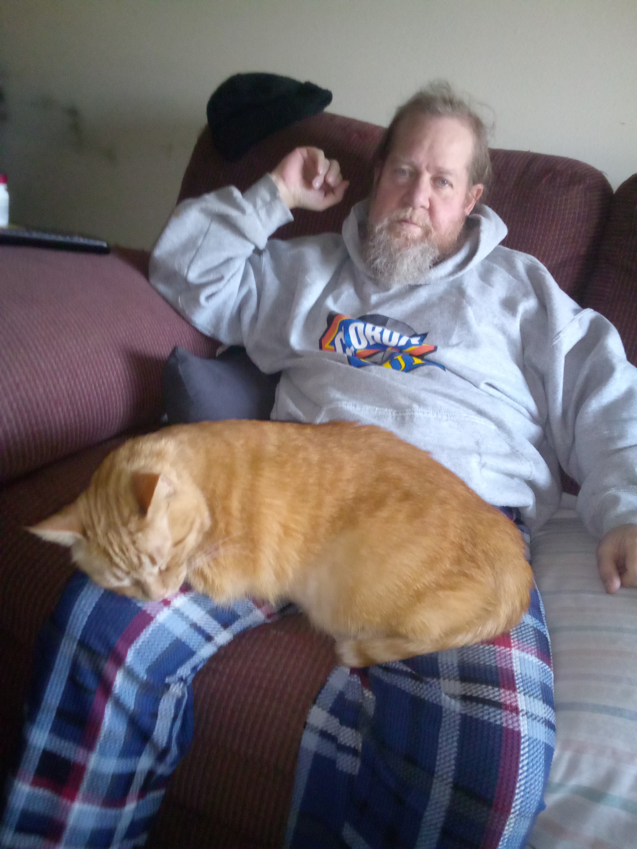 Help save the coolest orange cat . Hes too young campaign photo, 5 of 6