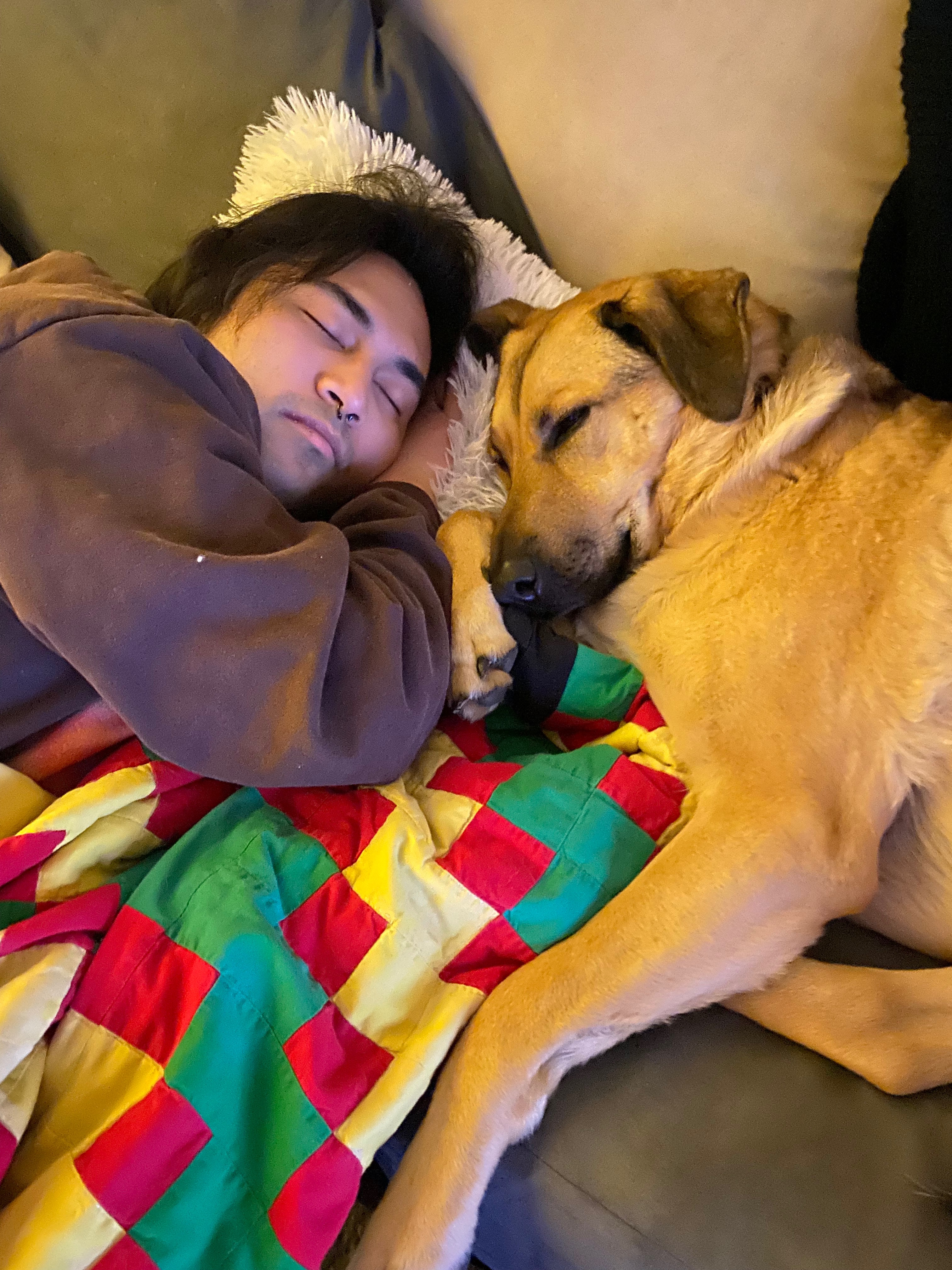 Save Our Support Dog, Sebastian campaign photo, 4 of 8