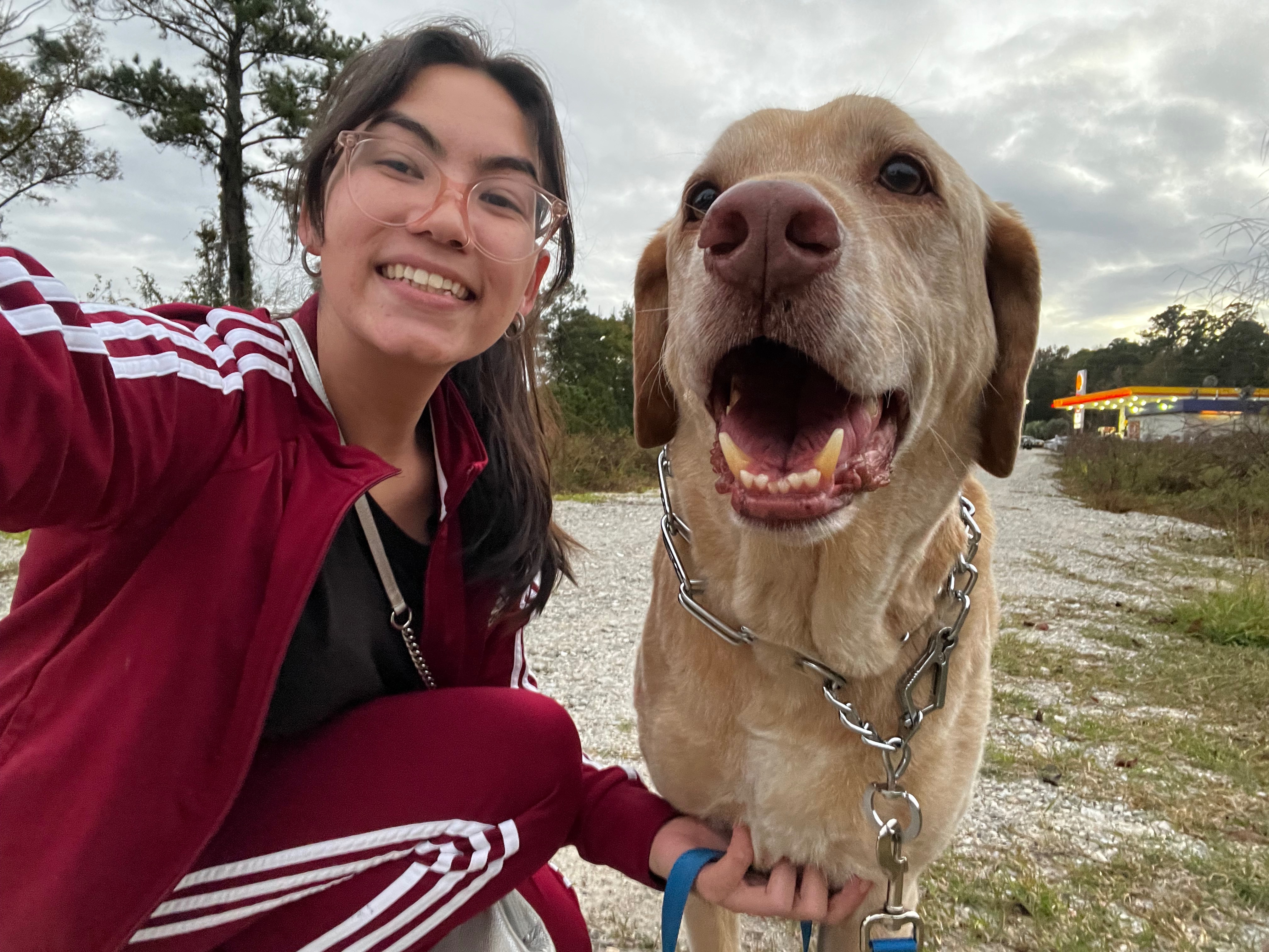 Donate to Rosco’s Recovery of Brain Cancer campaign photo, 4 of 6