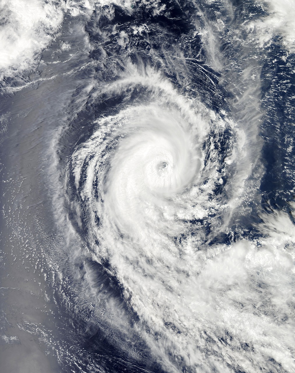 Escaping Florida's Hurricanes: Help Me Relocate campaign photo, 4 of 4