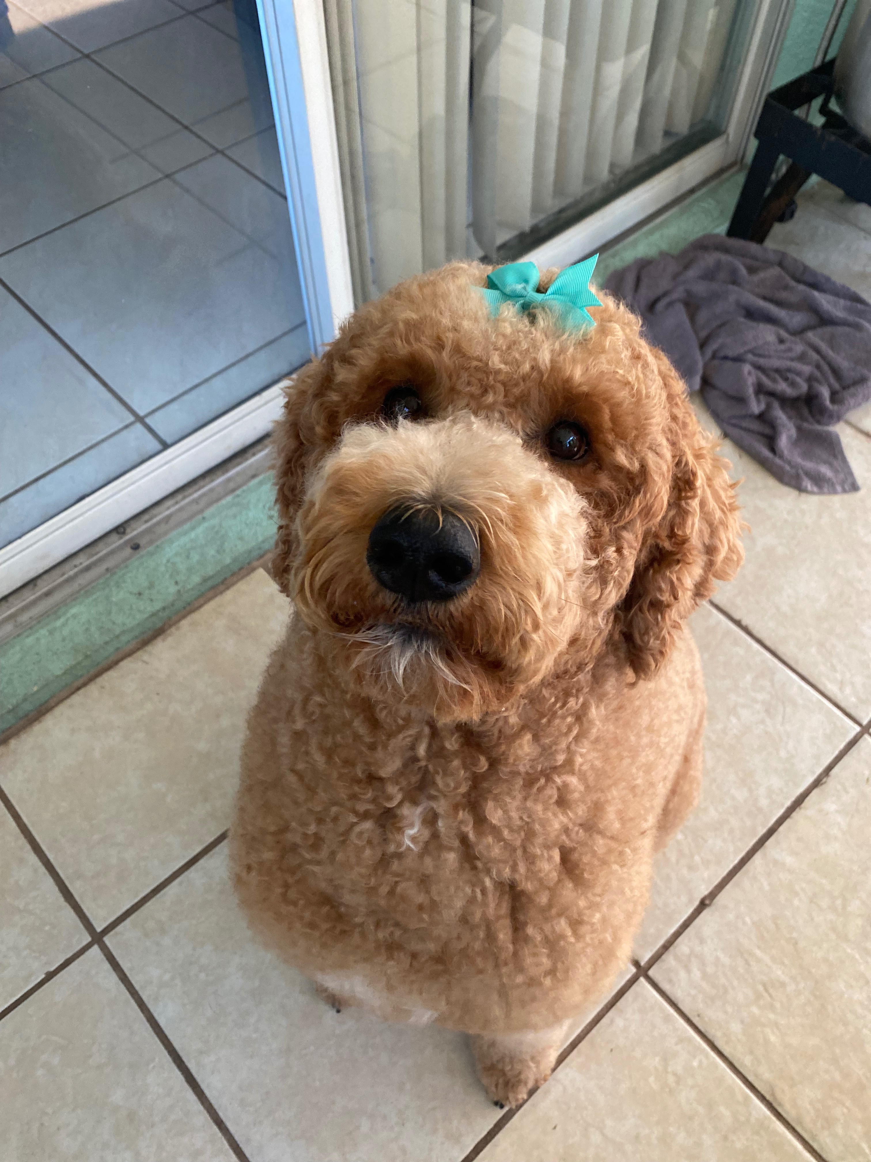Help Grace Overcome Chronic Ear Infections campaign photo, 6 of 7