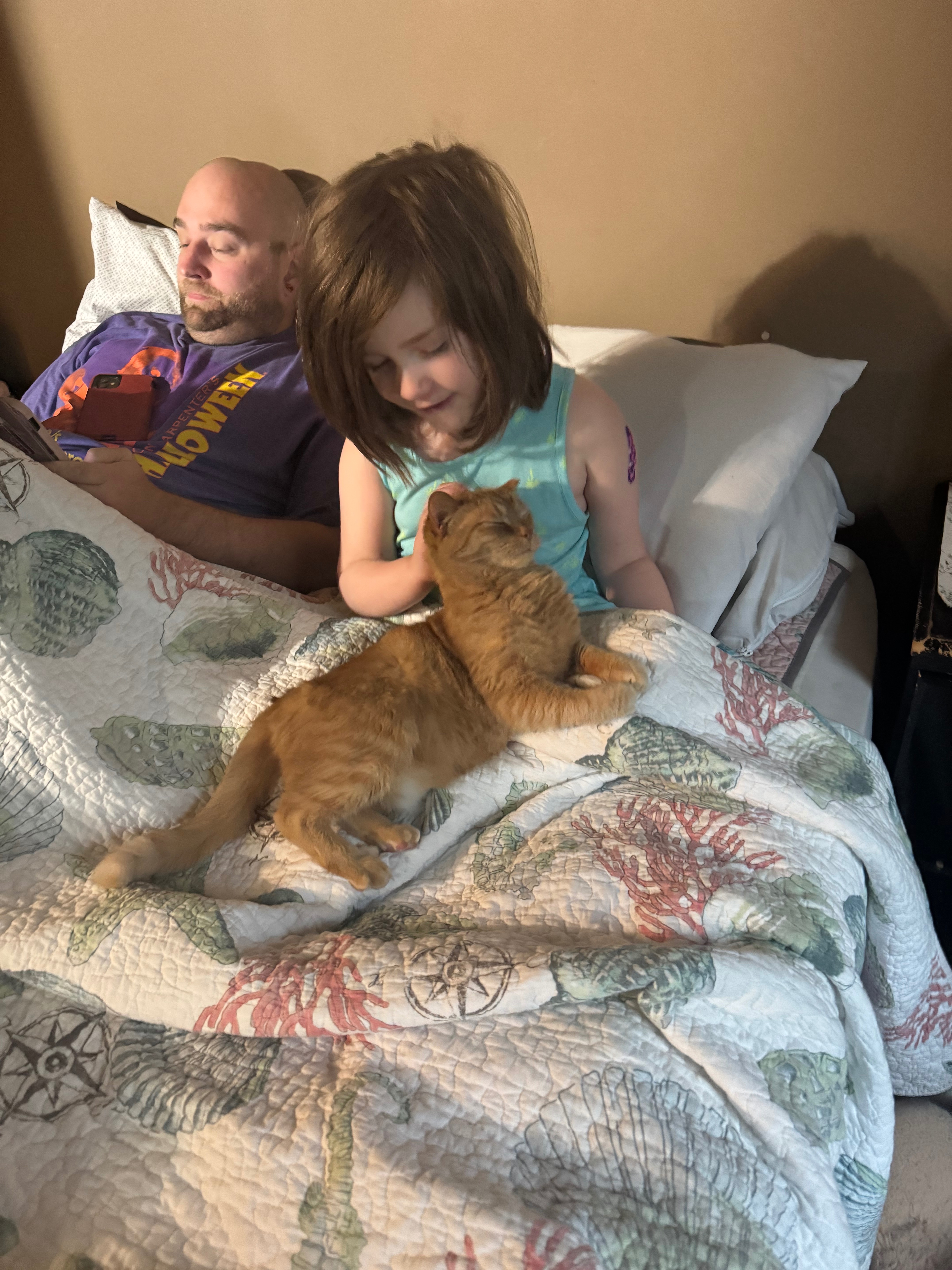 A cat moms plea: Help end Pumpkins pain. campaign photo, 5 of 8
