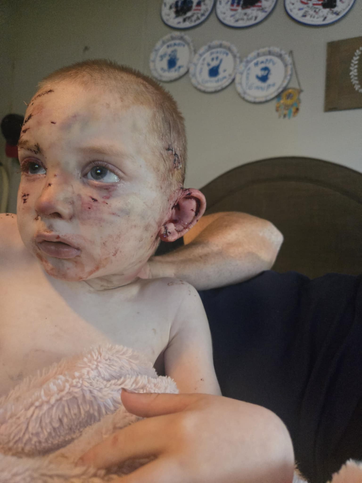 User-uploaded image 1