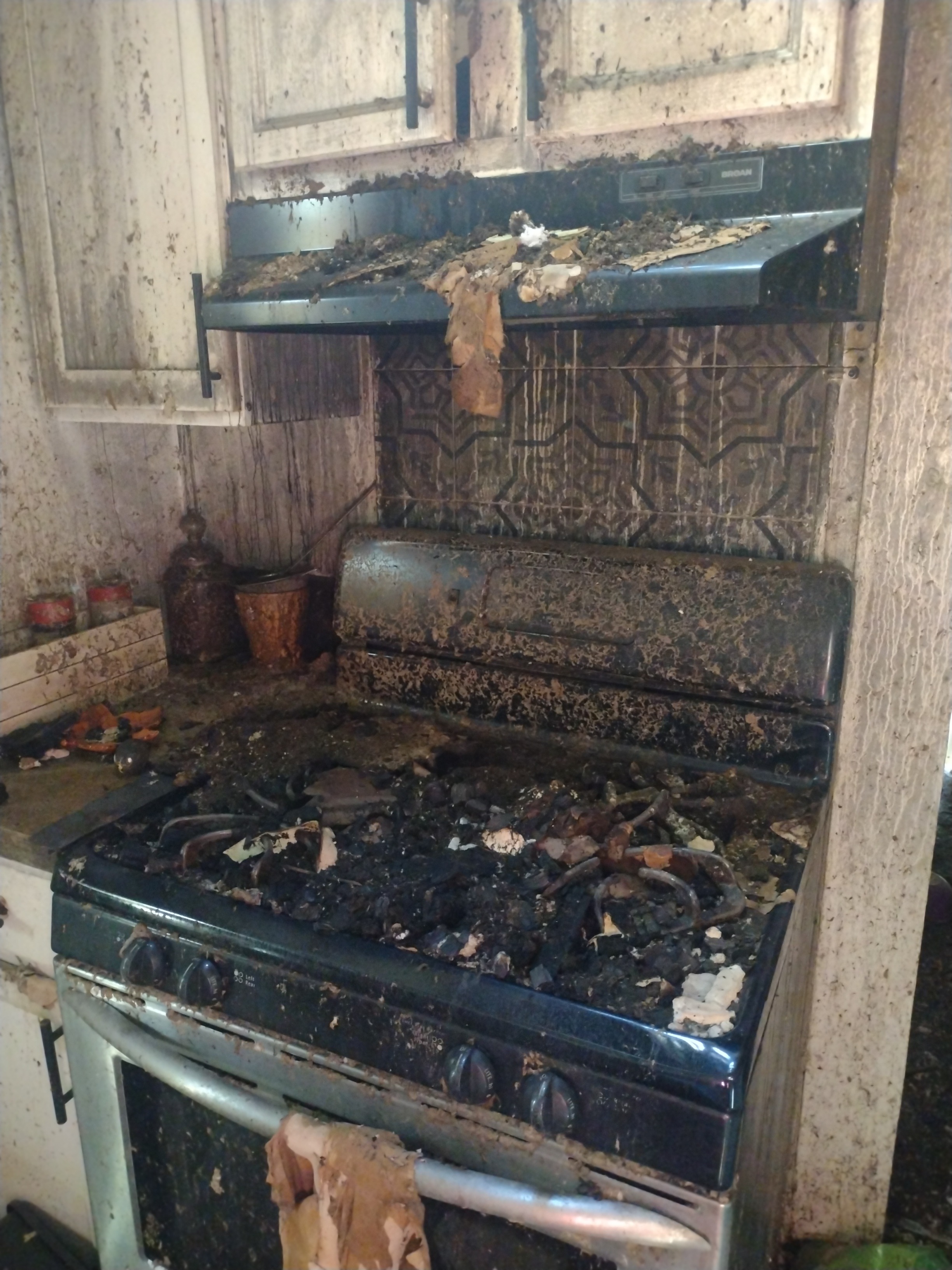 Family Needs Your Help After Fire Loss campaign photo, 5 of 8