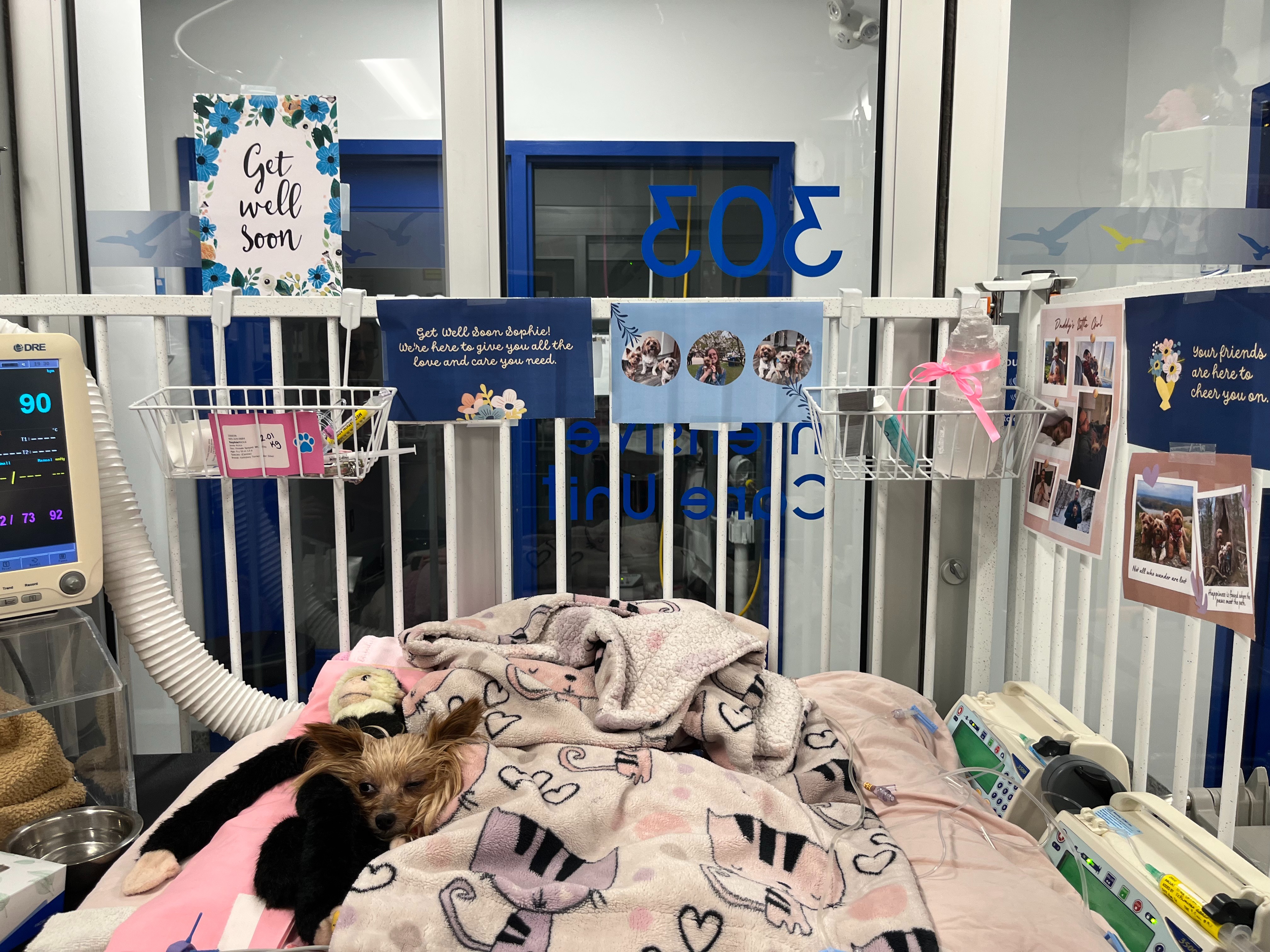 Hope for Sophie: Help Us Keep Fighting campaign photo, 6 of 7