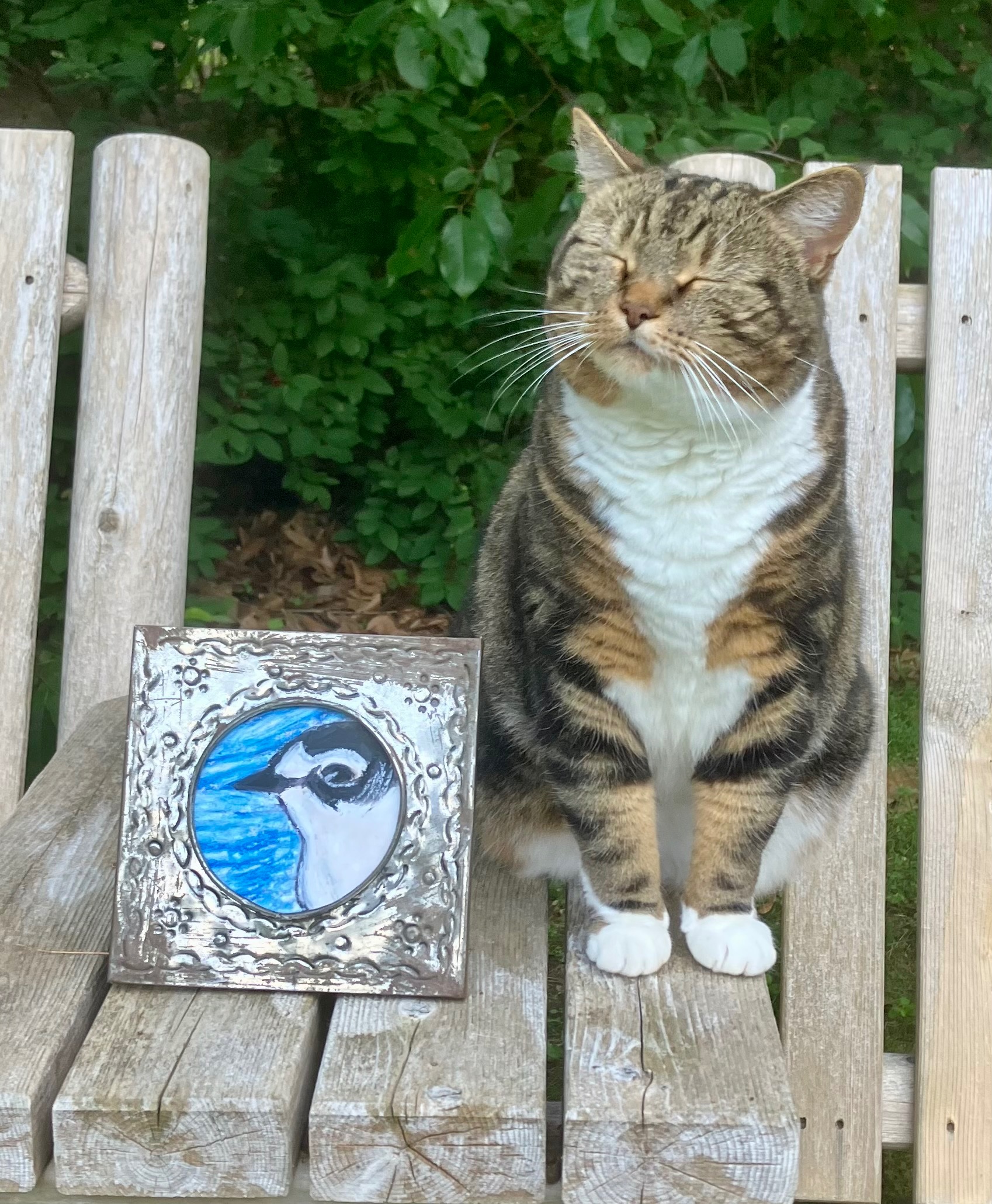Help Our Beloved Pepper Recover campaign photo, 4 of 6