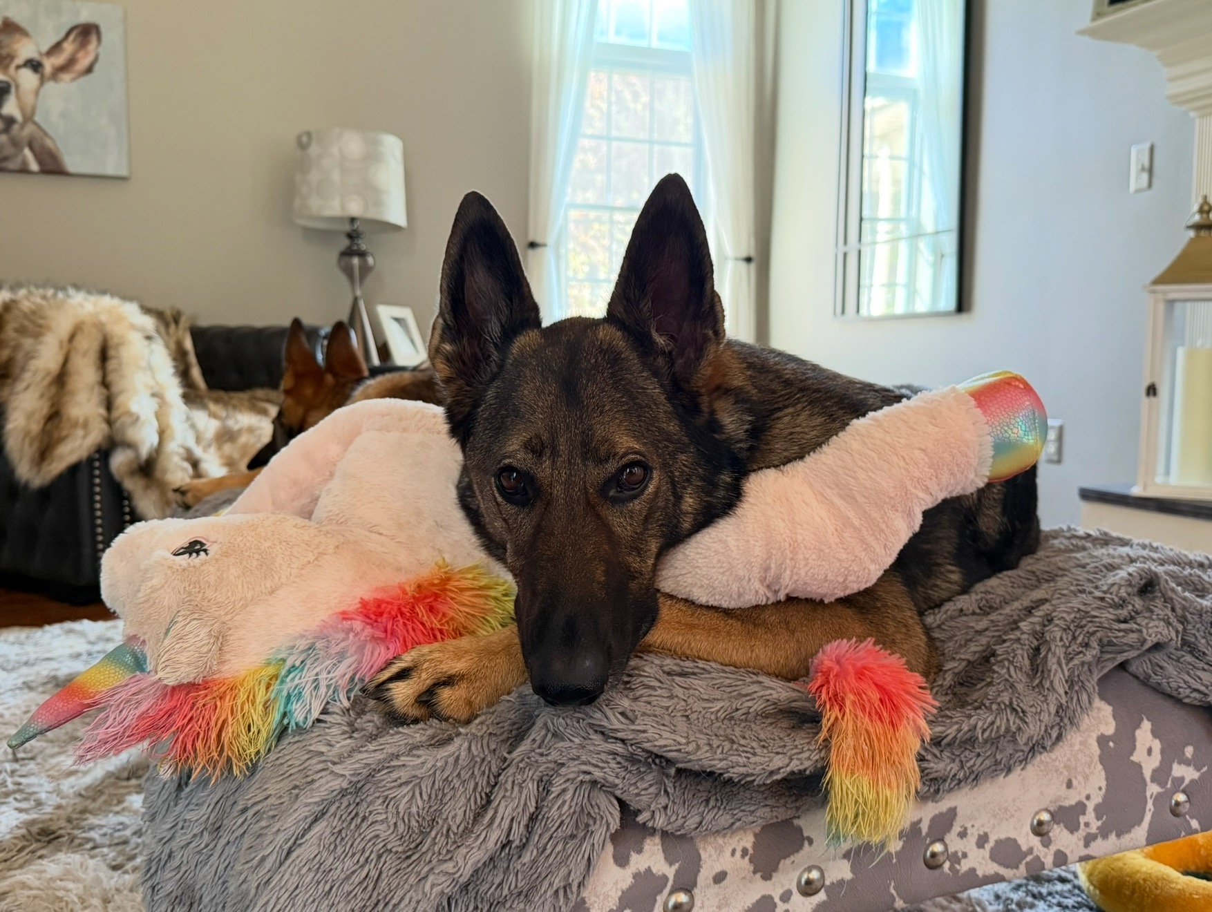 User-uploaded image 1