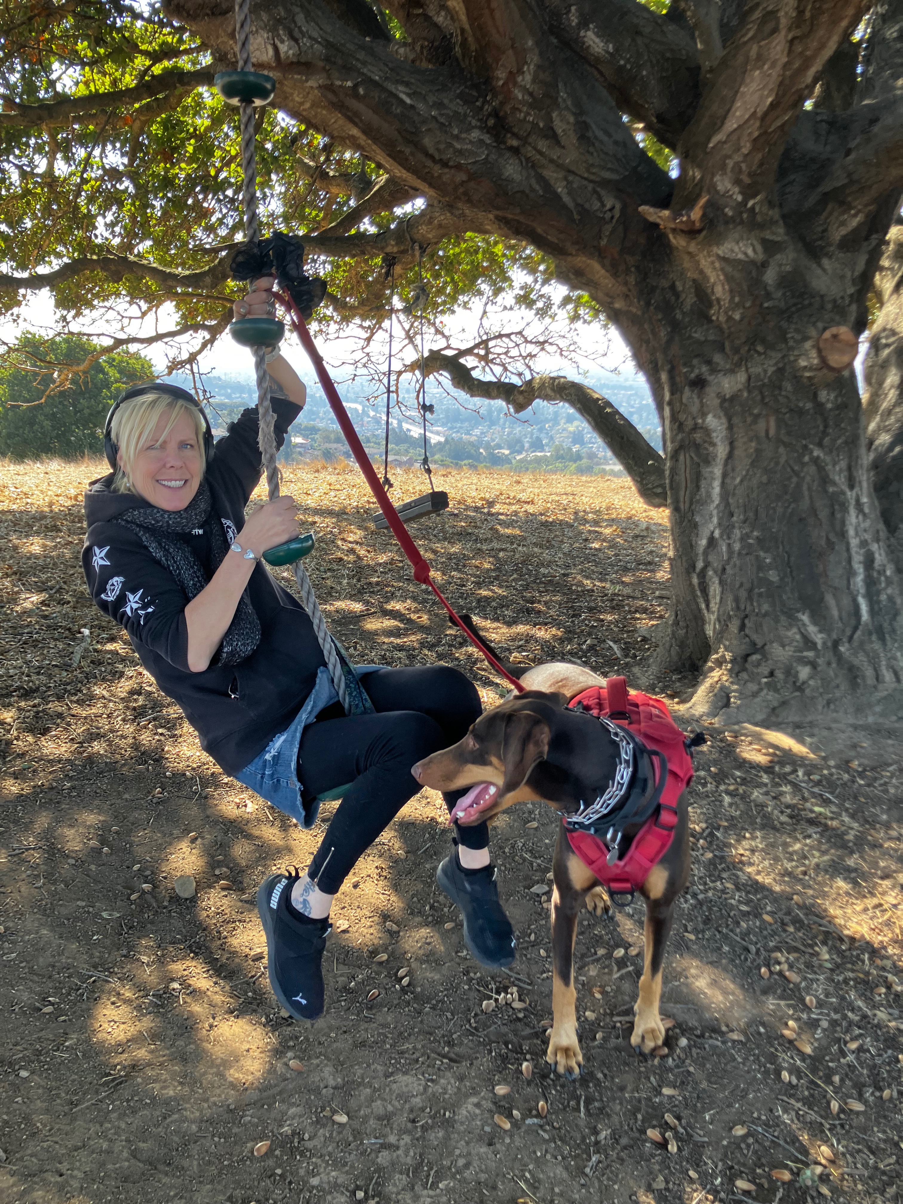 User-uploaded image 1