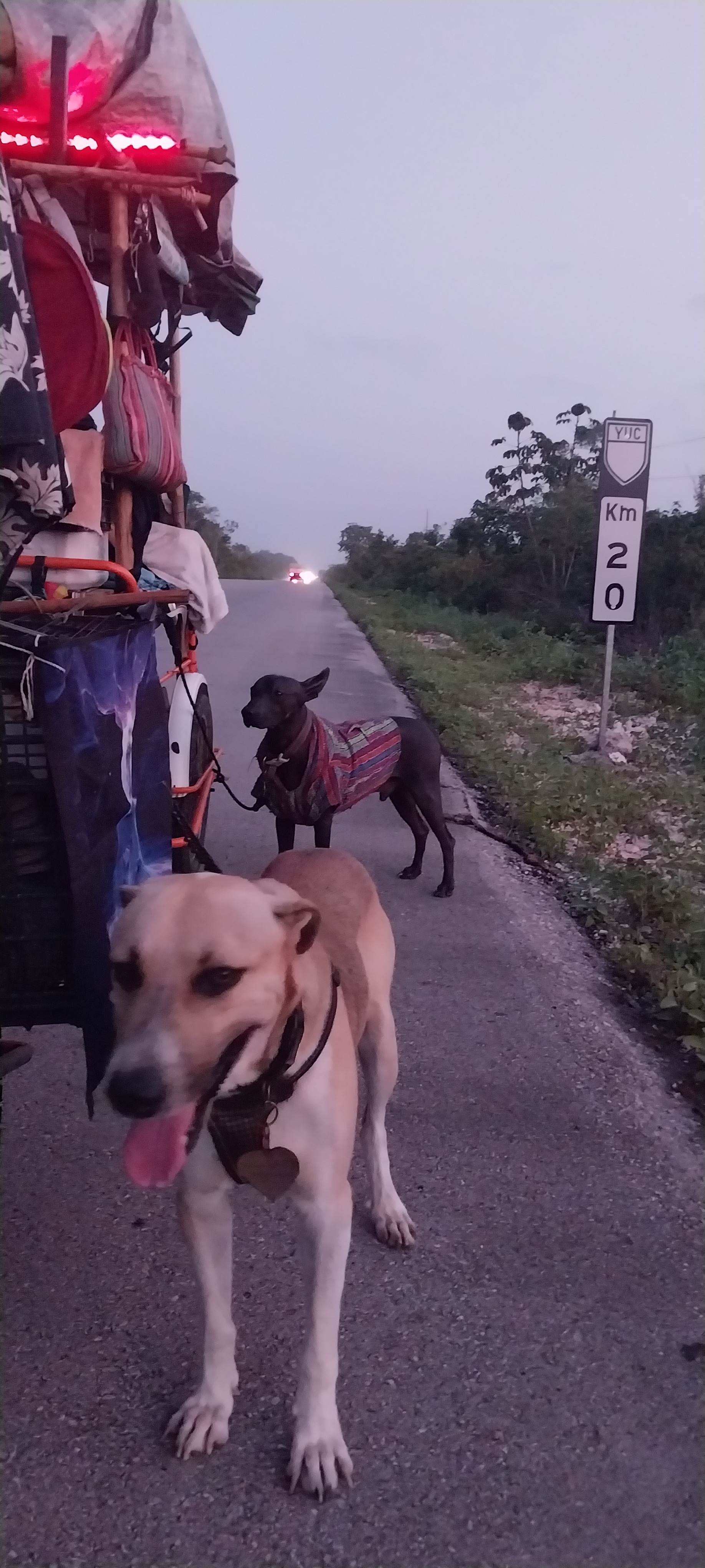 User-uploaded image 1