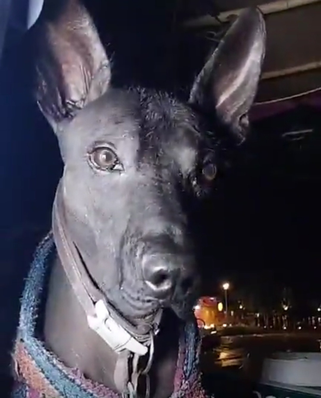 User-uploaded image 2