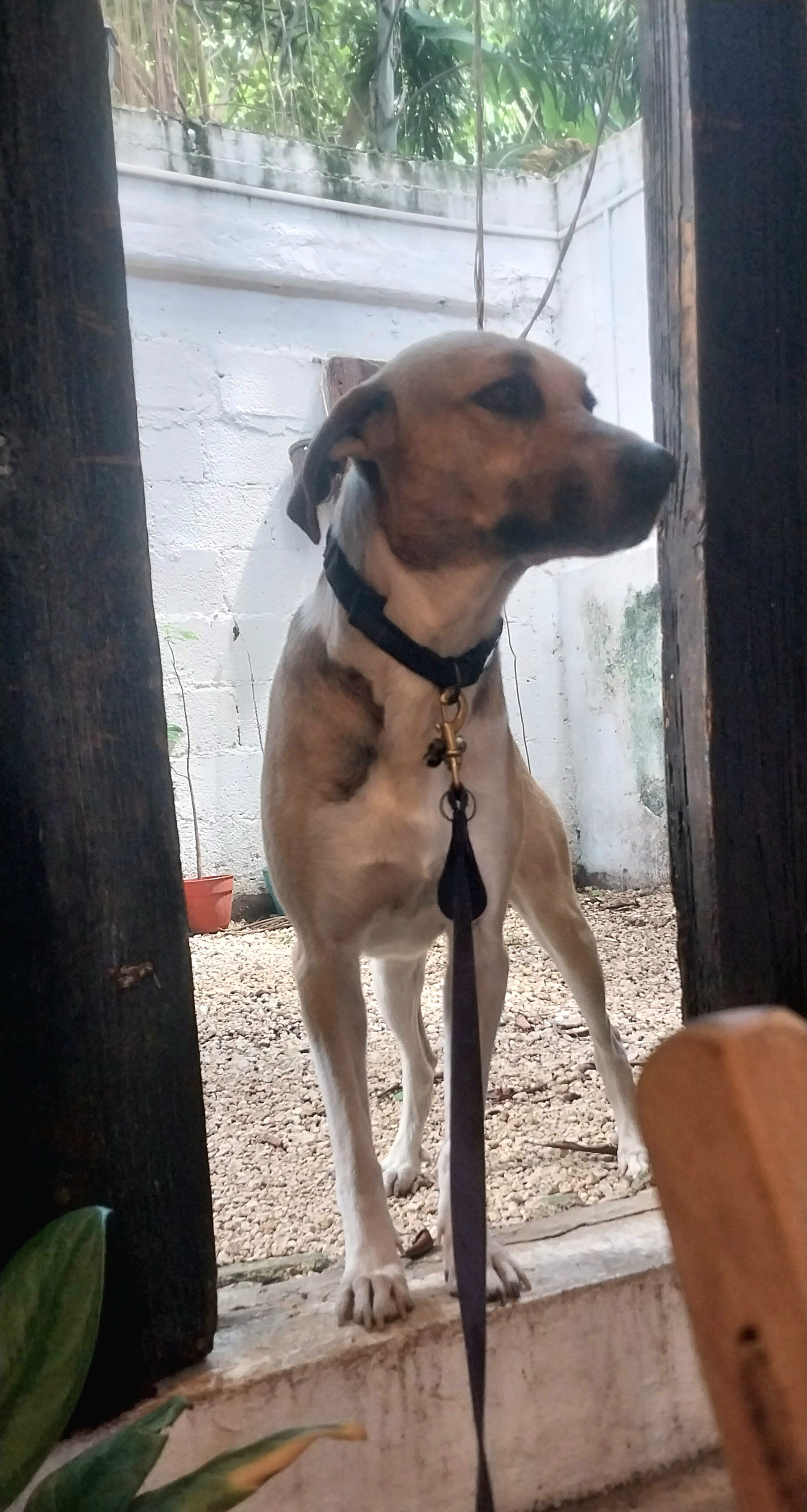 User-uploaded image 4