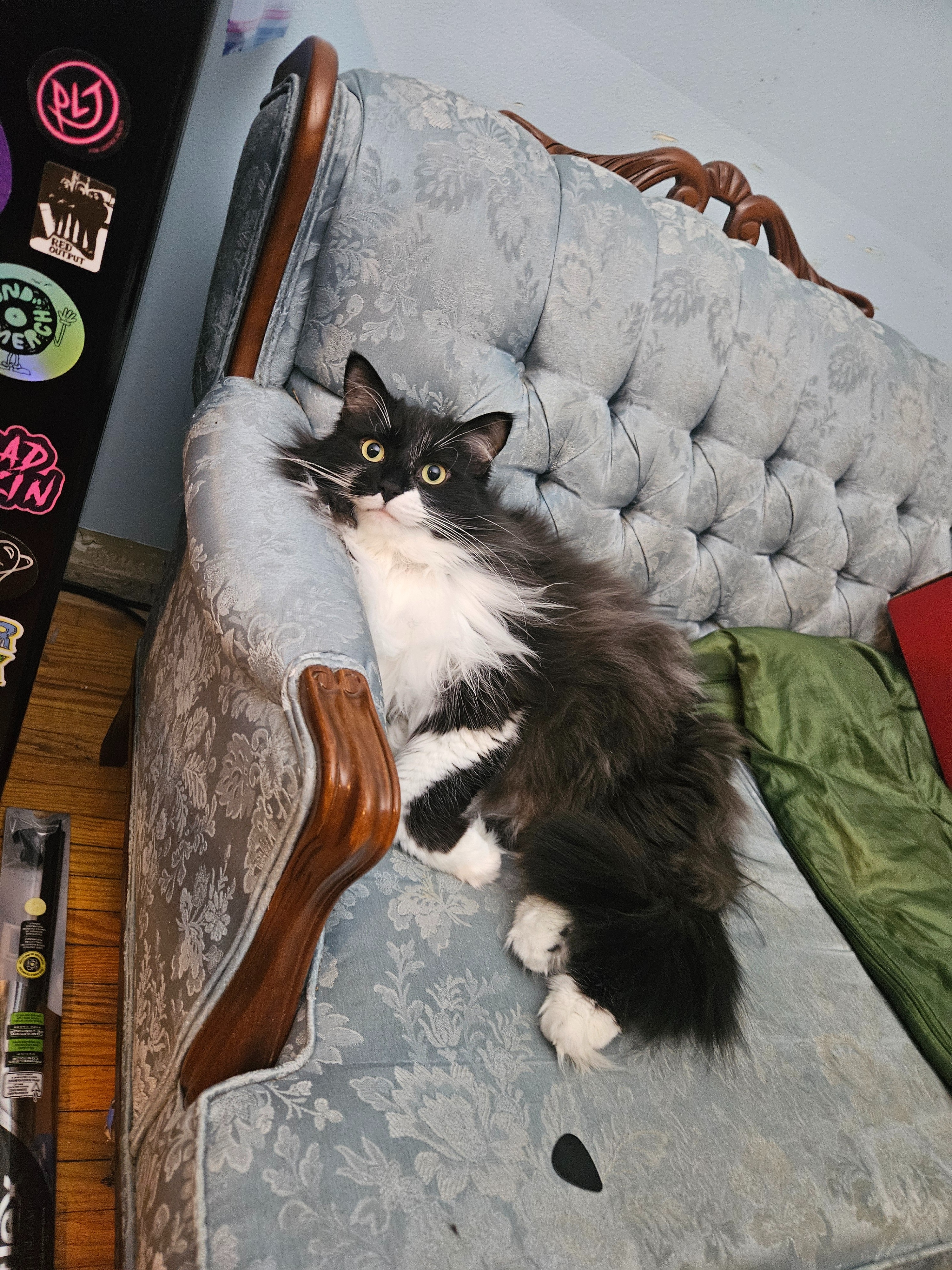 Help Save Floyd – Cade’s Brother and Best Friend campaign photo, 5 of 7