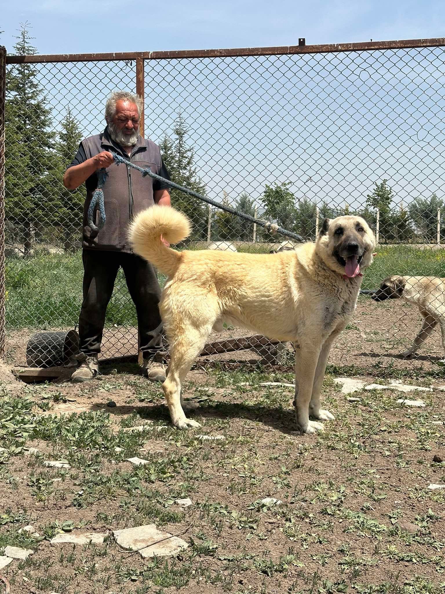 User-uploaded image 1