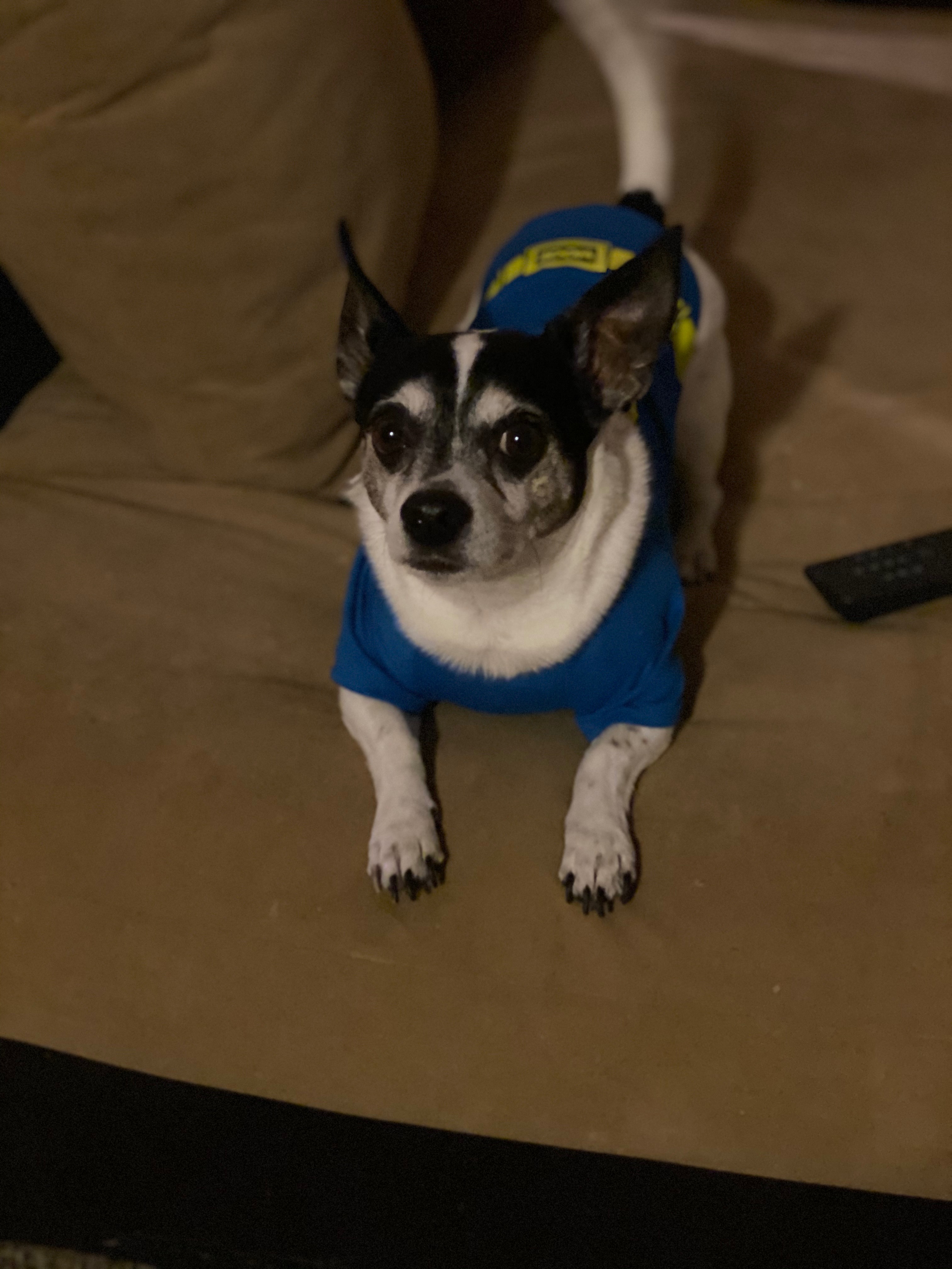Extend Patches' Life with Your Help campaign photo, 6 of 8