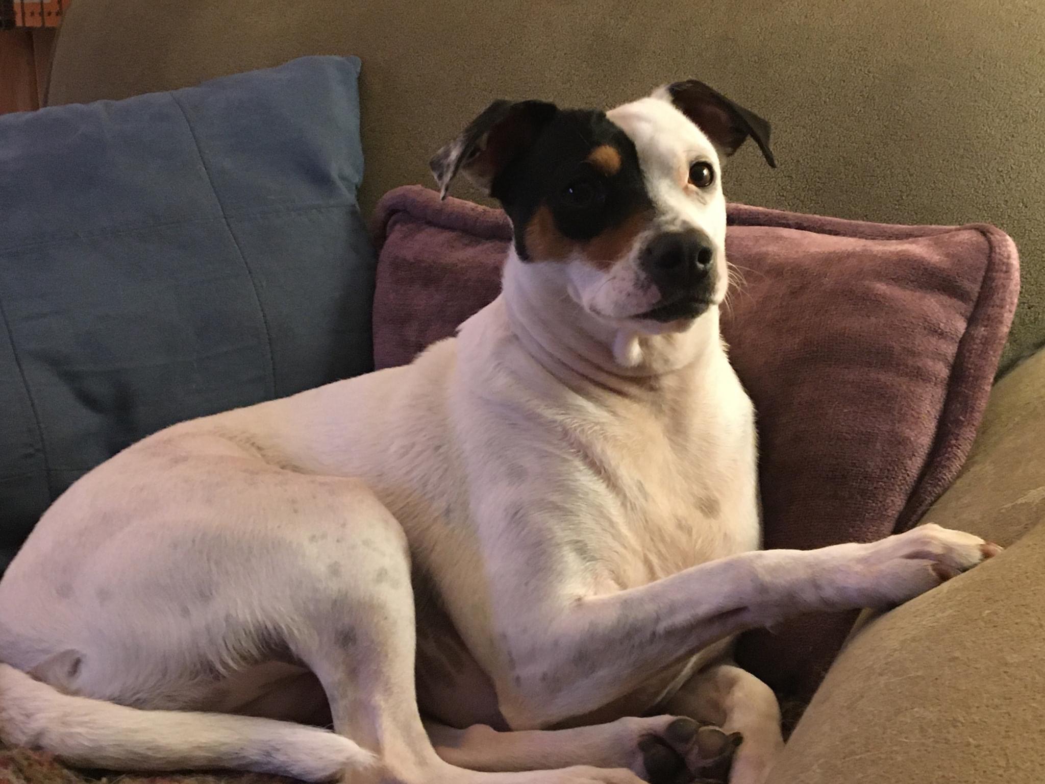 User-uploaded image 1