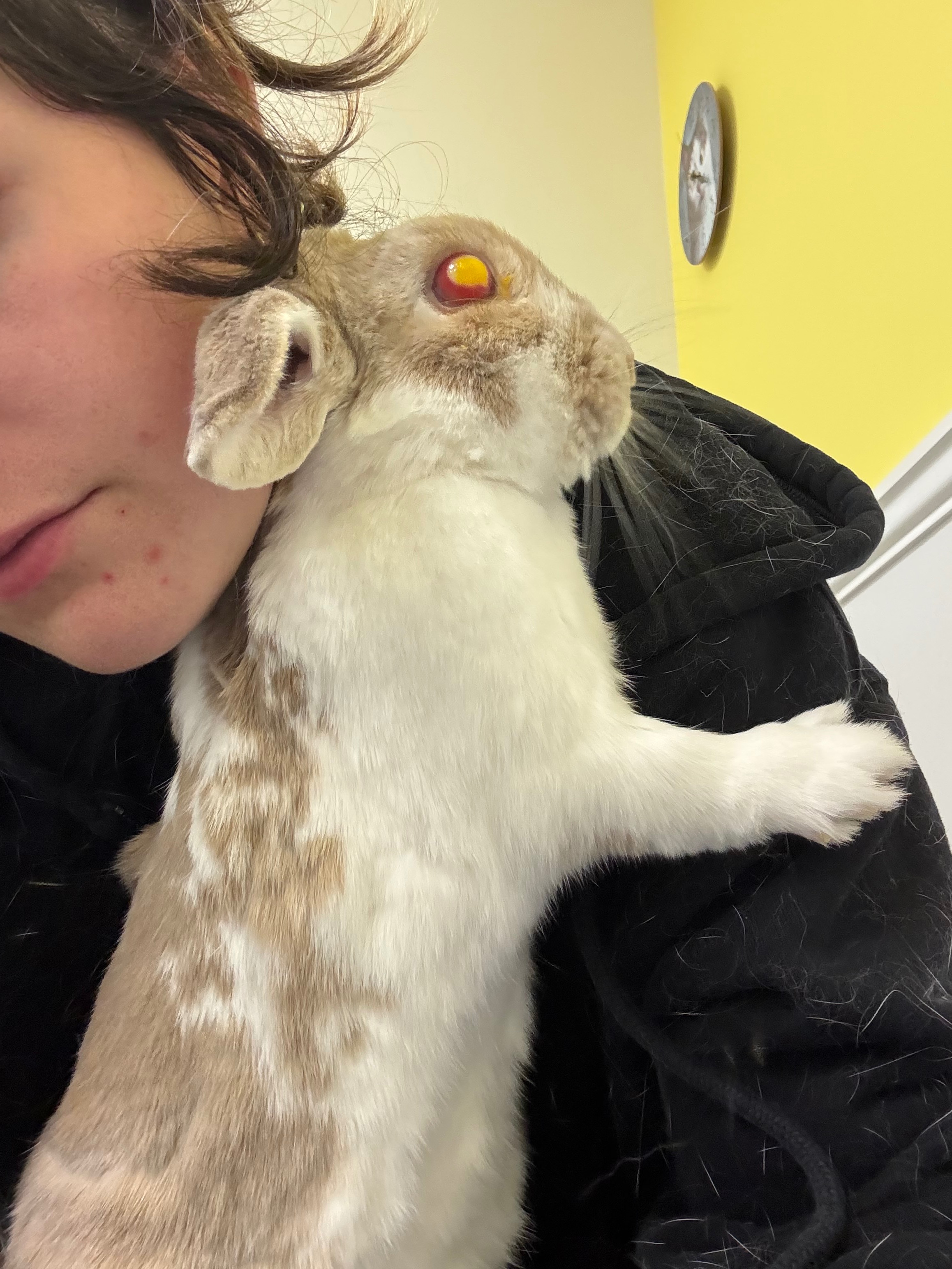 August’s Eye Removal Surgery campaign photo, 2 of 8