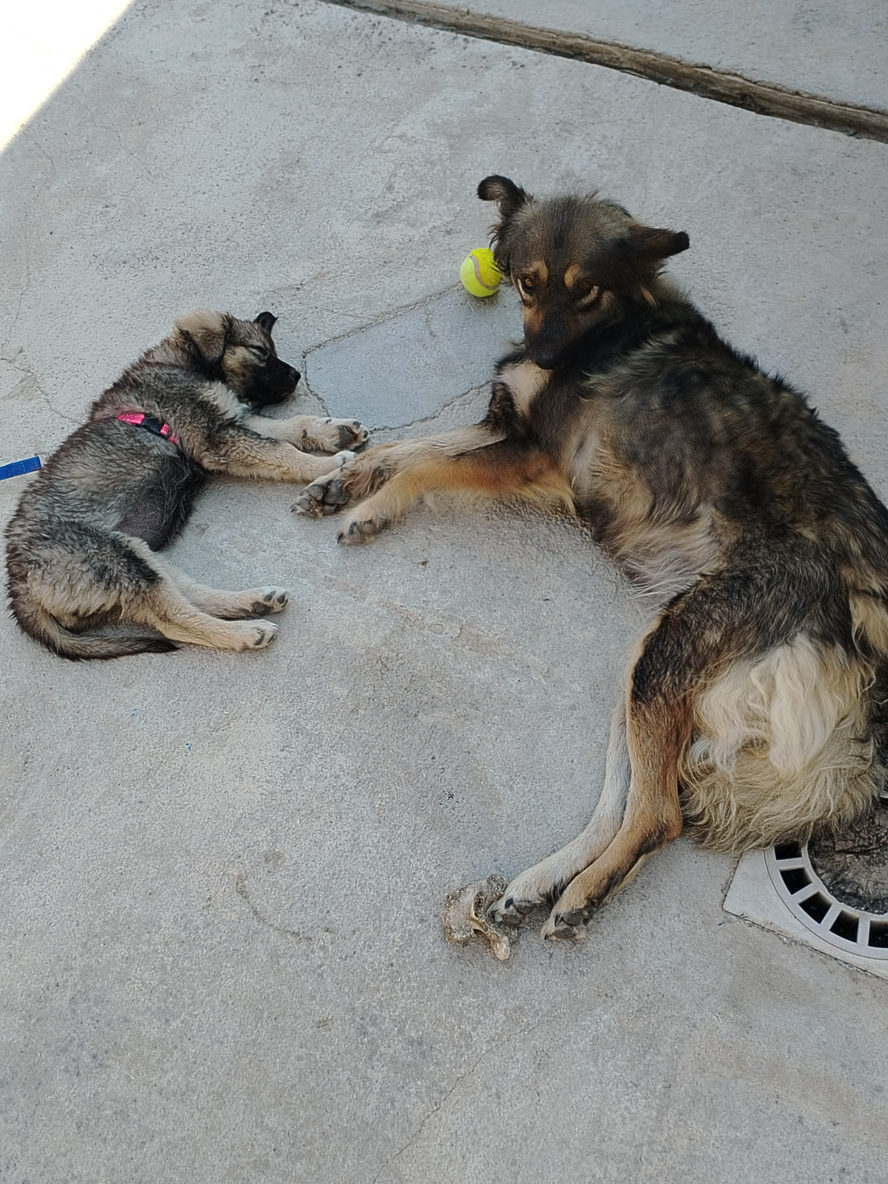 User-uploaded image 1