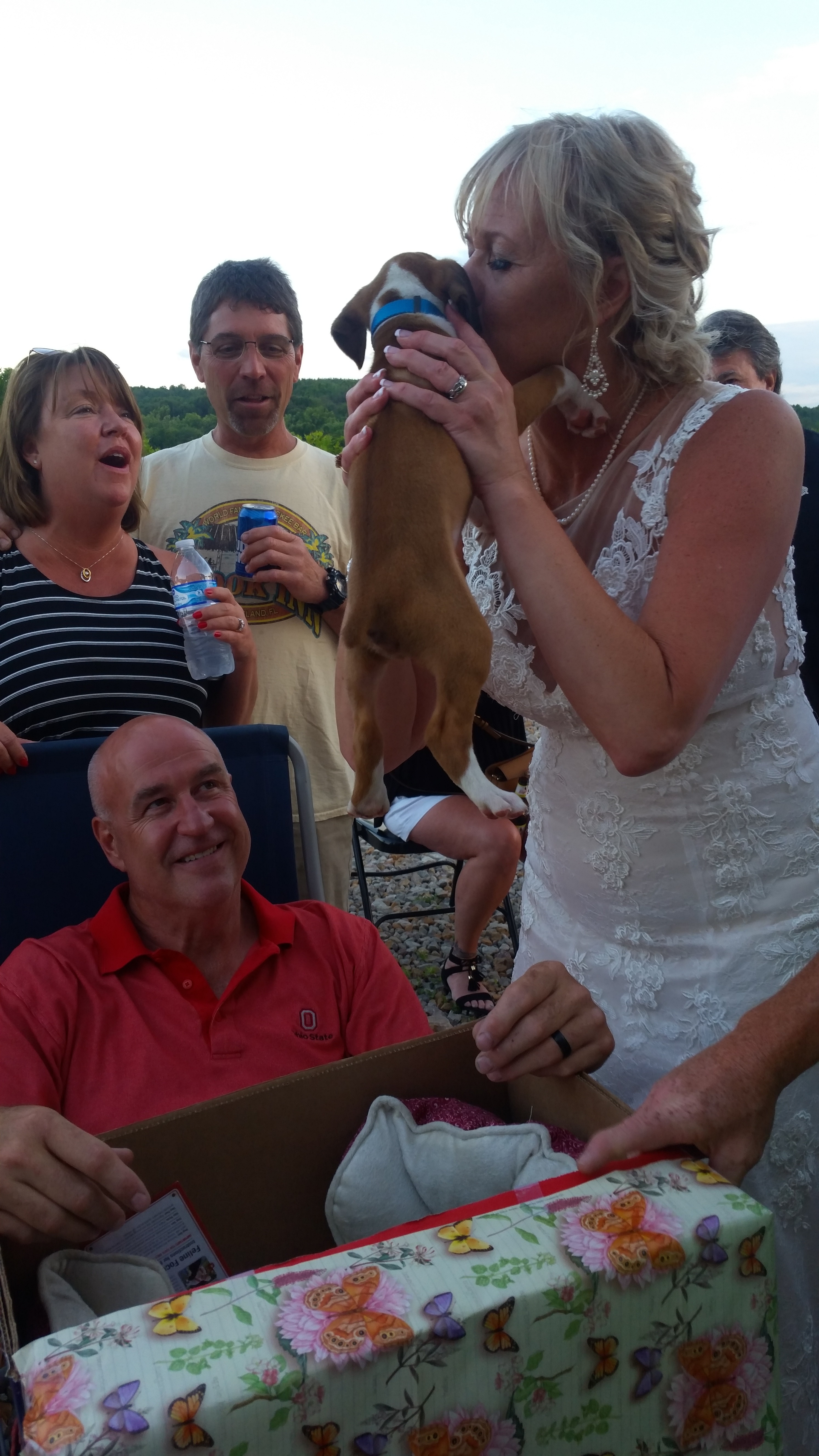 THANK YOU for helping us heal "our" beloved boxer Kramer campaign photo, 4 of 7