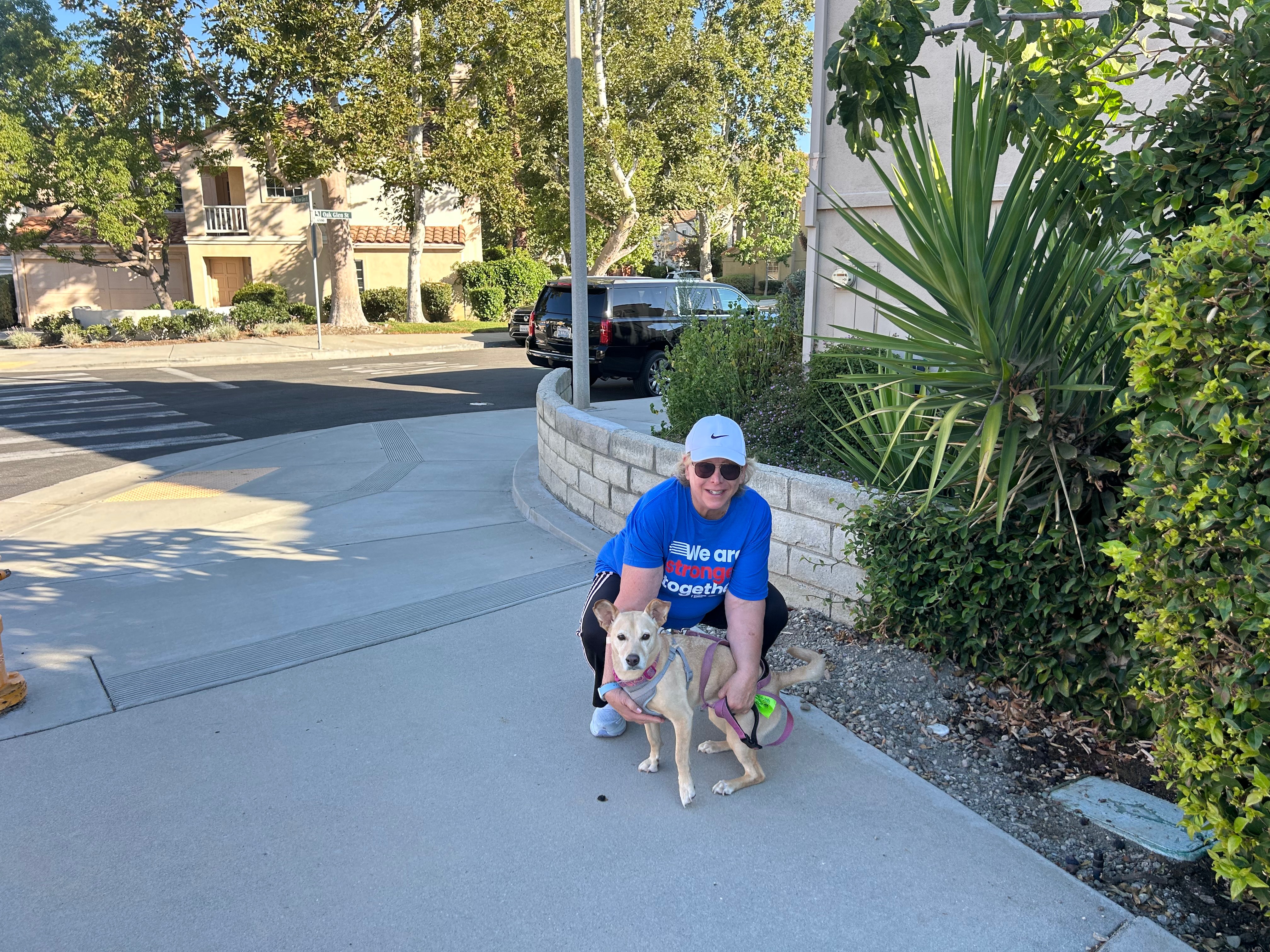 User-uploaded image 1