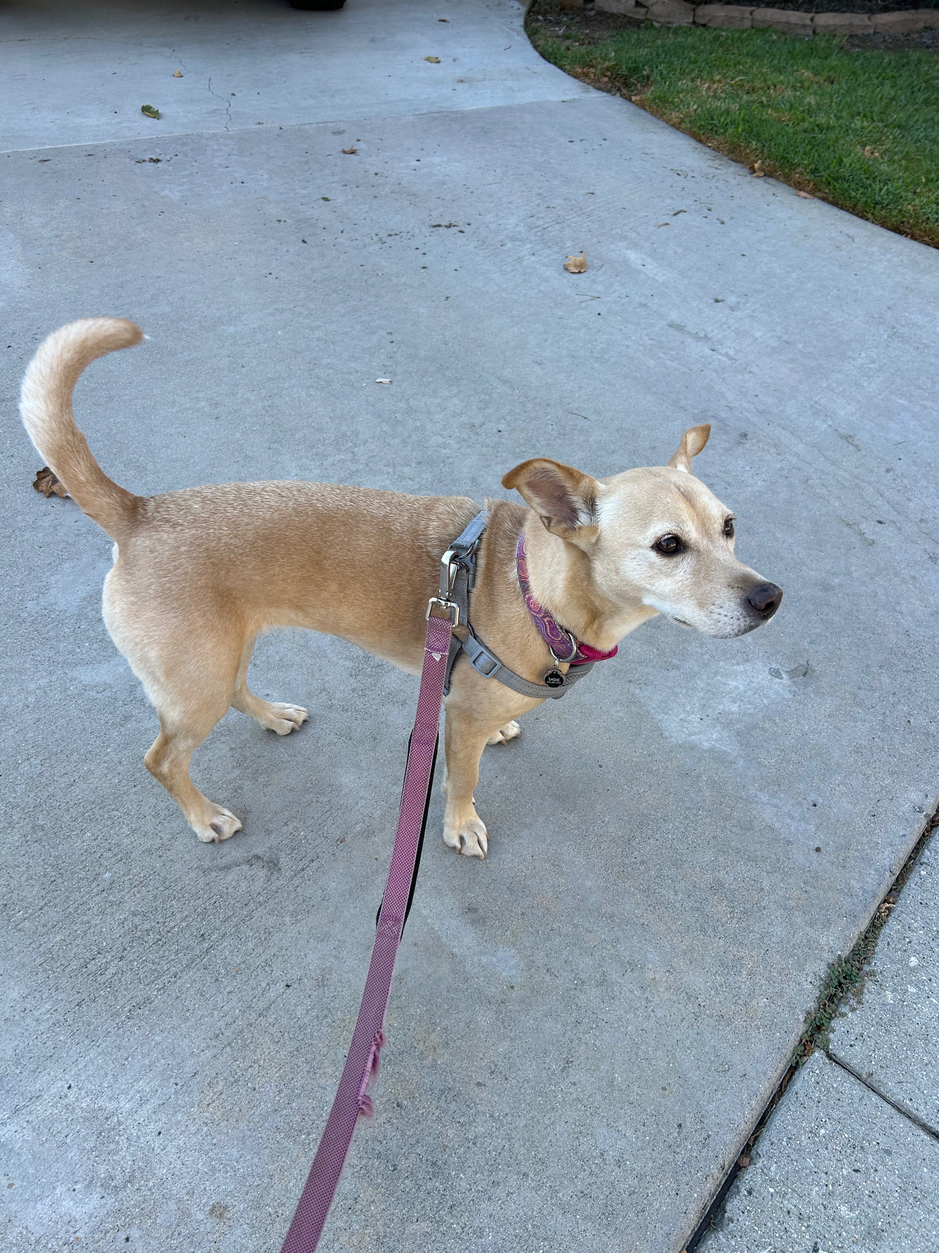 User-uploaded image 2