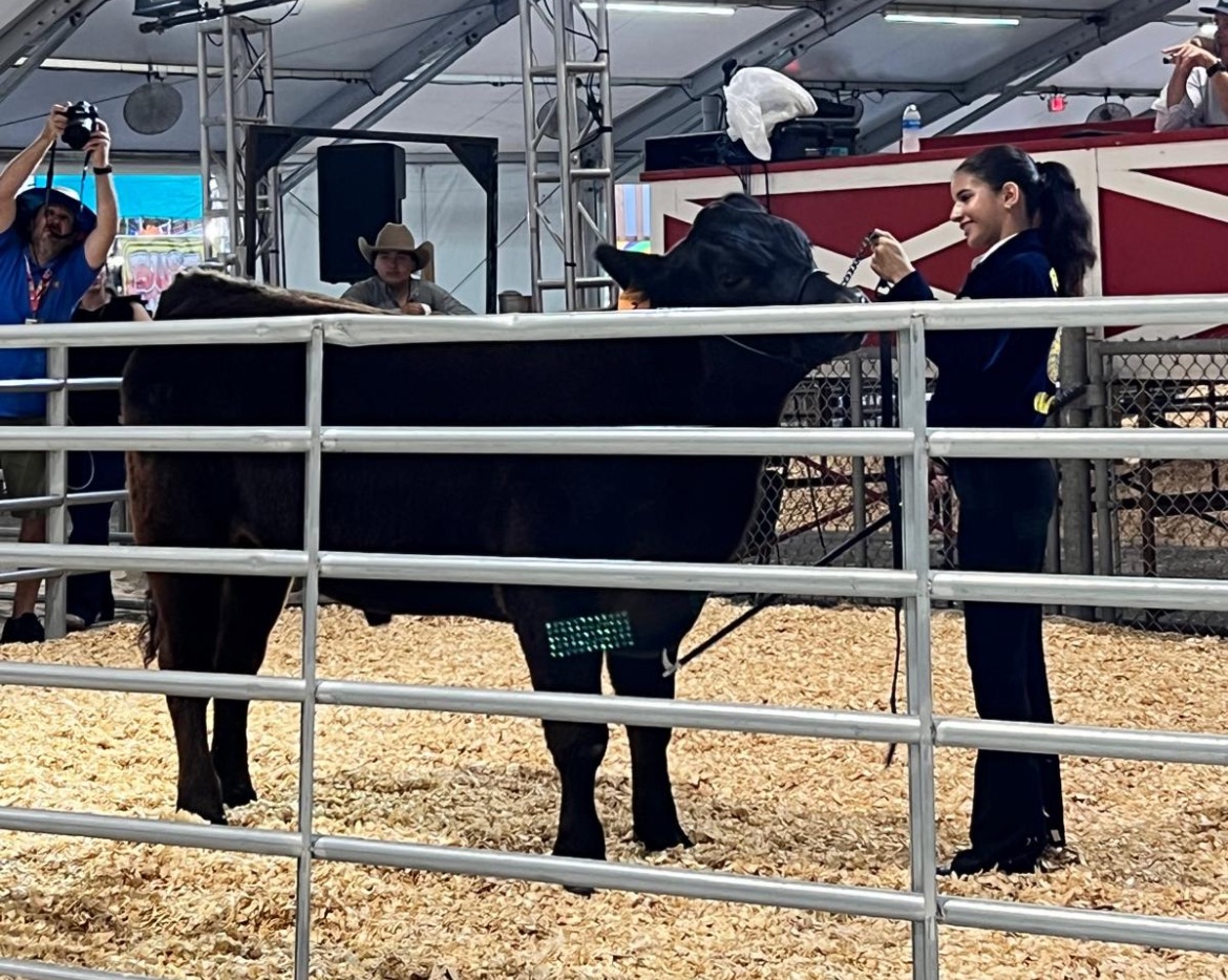 Donate to Isabella's Senior Year Steer Success campaign photo, 7 of 8