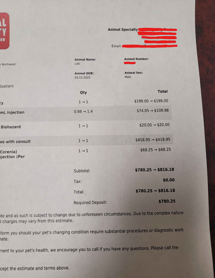 Help Loki Recover from Emergency Vet Bill campaign photo, 2 of 5