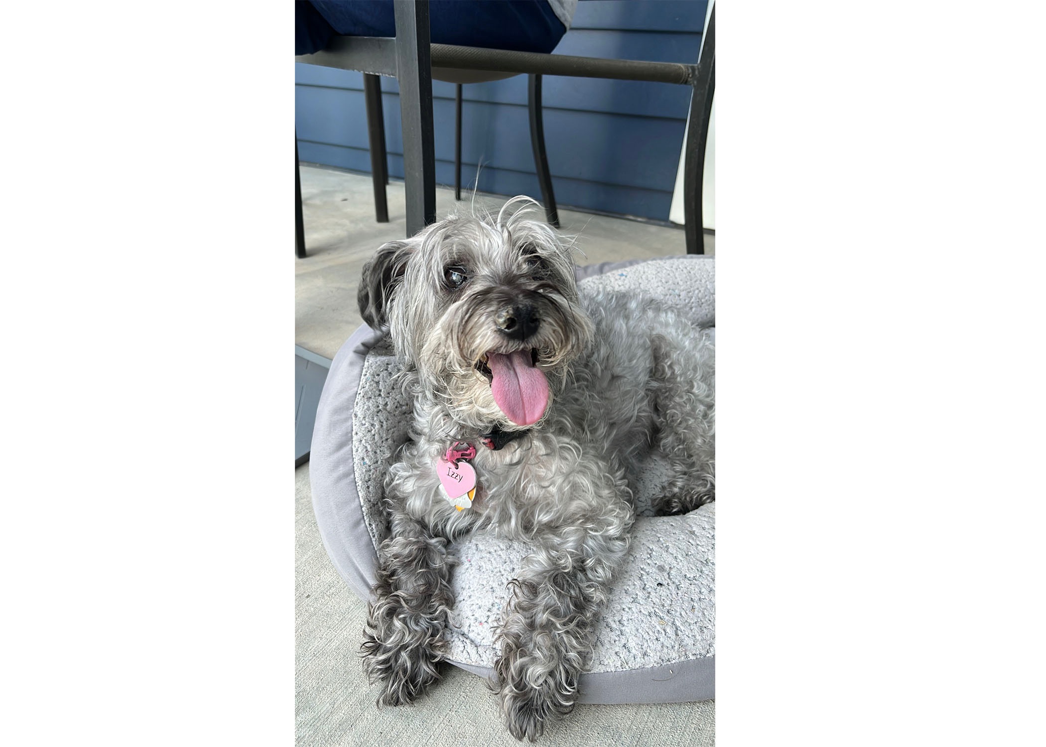 User-uploaded image 1