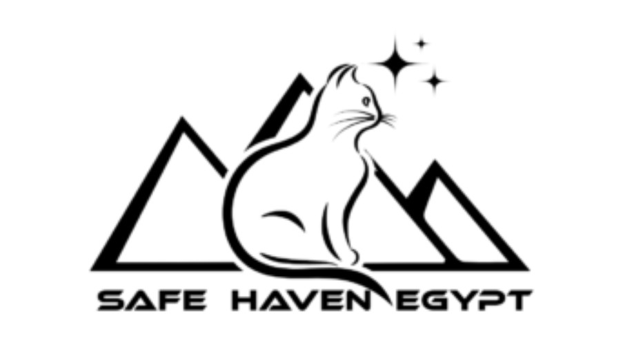 Birthday fundraiser for Safe Haven Egypt campaign photo, 7 of 8
