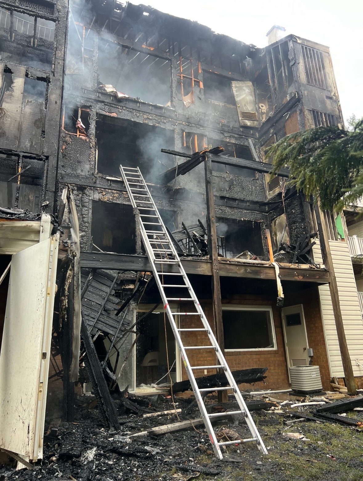 Support Family and Dogs After Devastating Fire campaign photo, 5 of 6