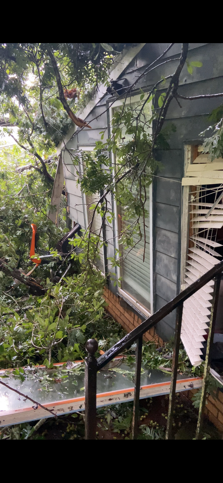 Help Us Rebuild After a Fallen Tree Destroyed Our Home campaign photo, 4 of 8
