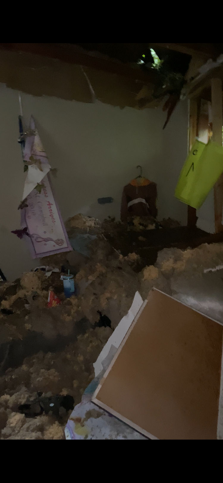 Help Us Rebuild After a Fallen Tree Destroyed Our Home campaign photo, 5 of 8