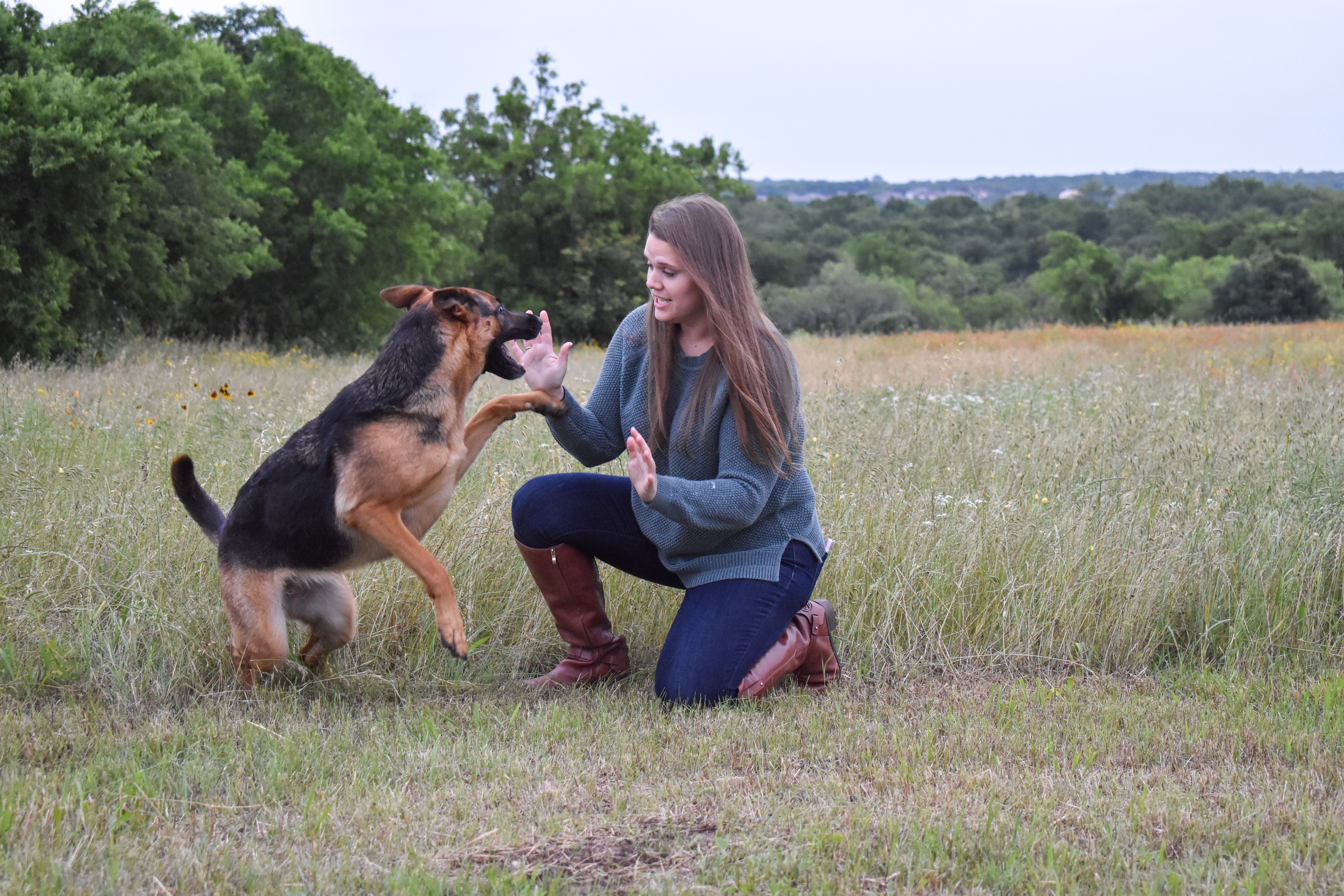 Help Give Allie her best fighting Chance campaign photo, 6 of 8