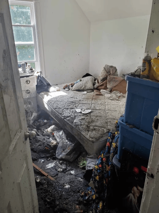 User-uploaded image 2